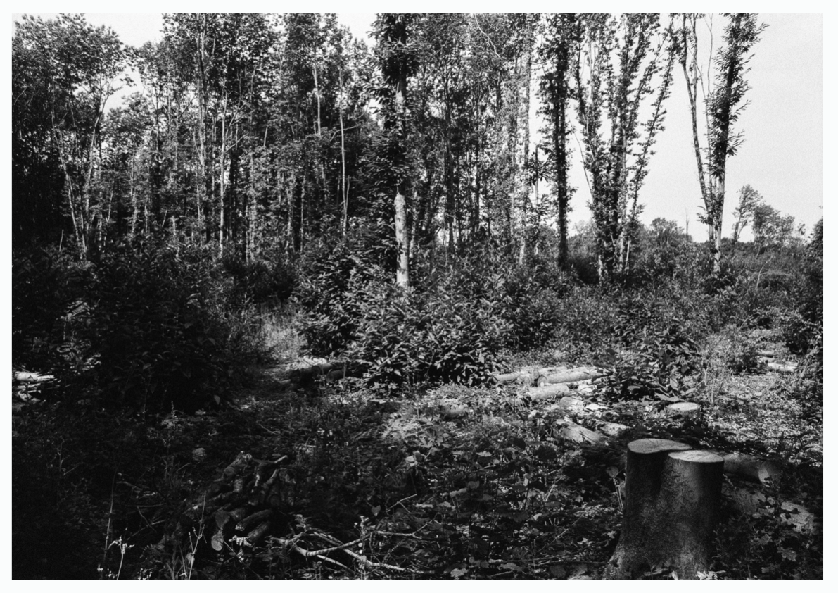 WOODWALK PHOTOBOOK_©MicaelLope-5.png