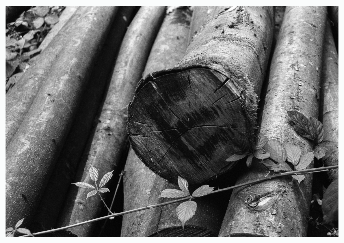 WOODWALK PHOTOBOOK_©MicaelLope-23.png
