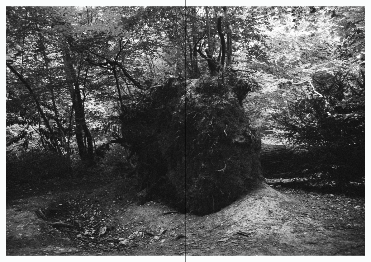 WOODWALK PHOTOBOOK_©MicaelLope-26.png