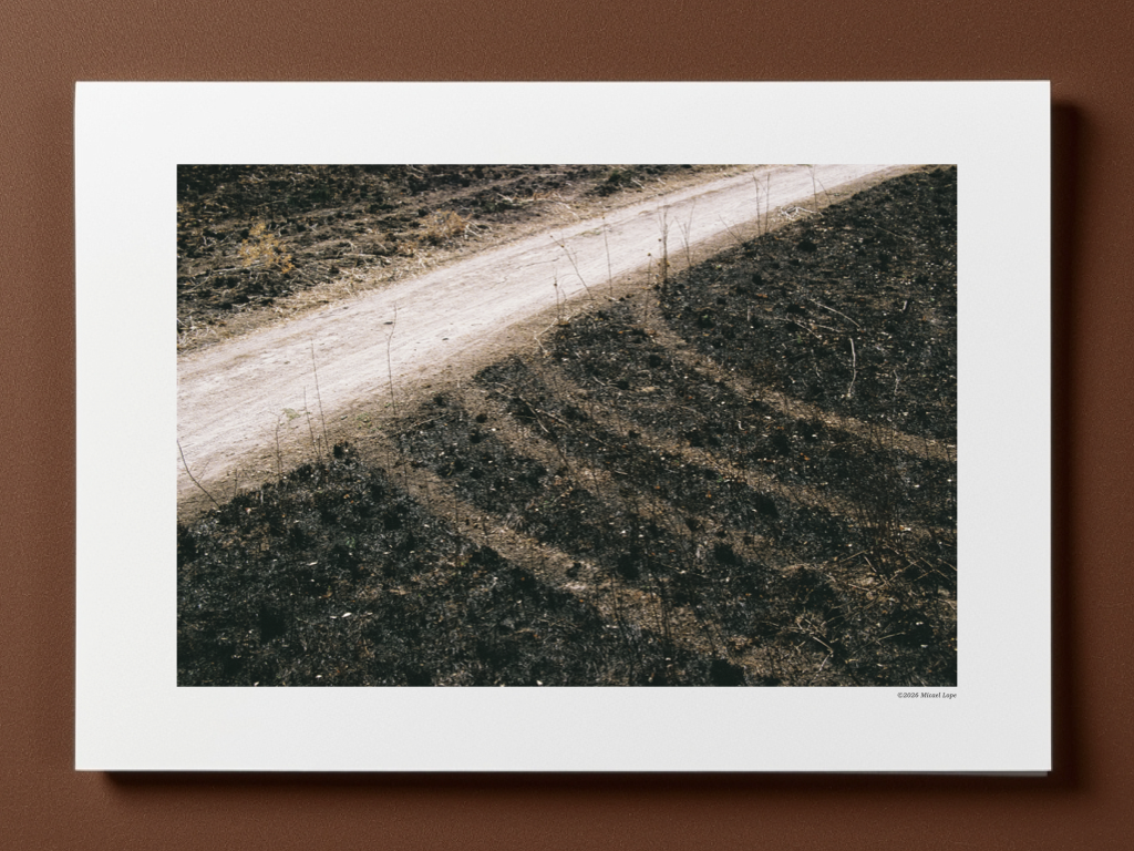 Una fotografía aérea de un camino de tierra que atraviesa un campo de tierra quemada, con marcas de arados en la tierra.