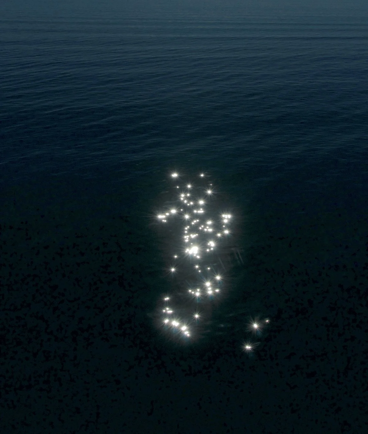 Confía en lo que ves-5_©MicaelLope_2026 WEB.jpg