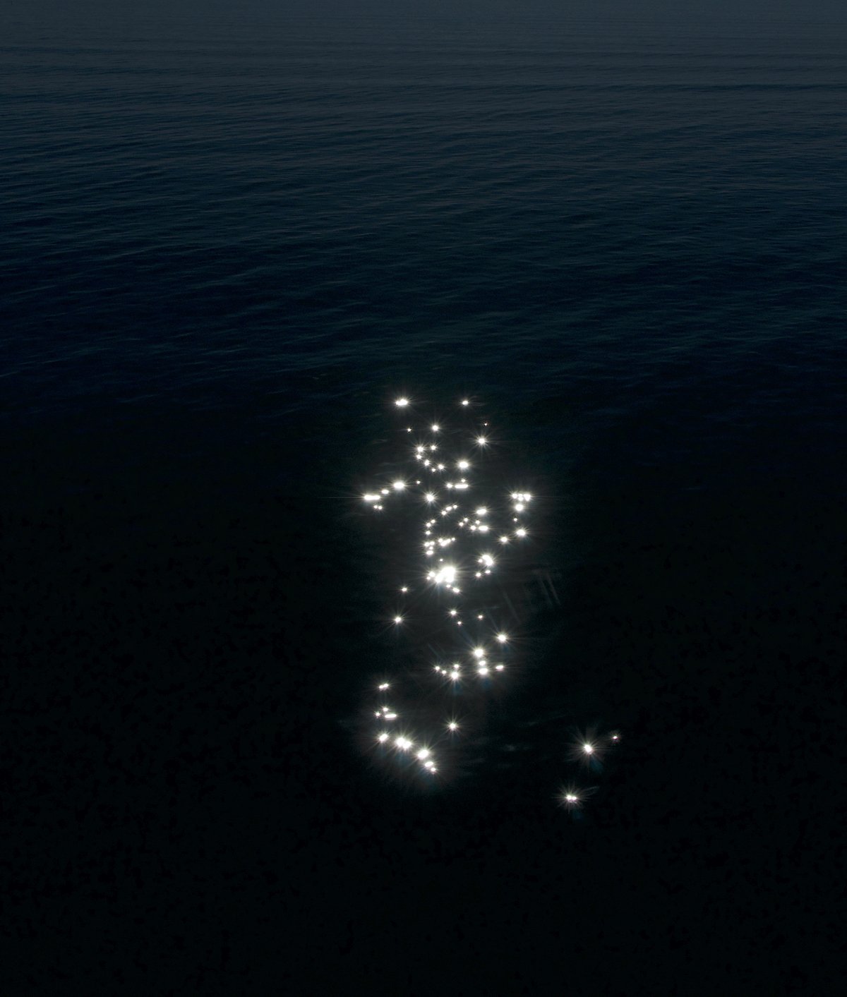 Confía en lo que ves-5_©MicaelLope_2026 copia.jpg