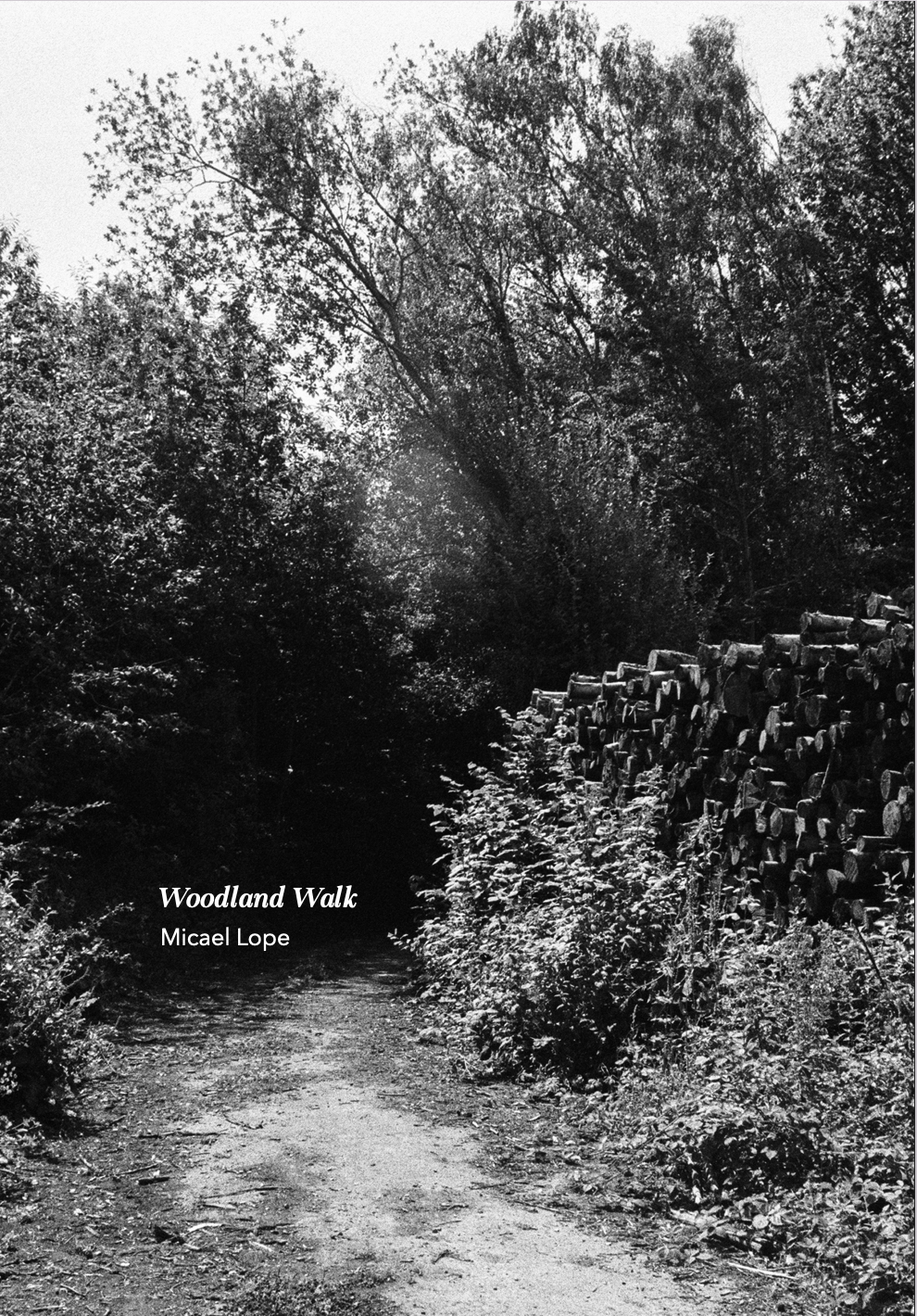 WOODWALK PHOTOBOOK_©MicaelLope-01.png