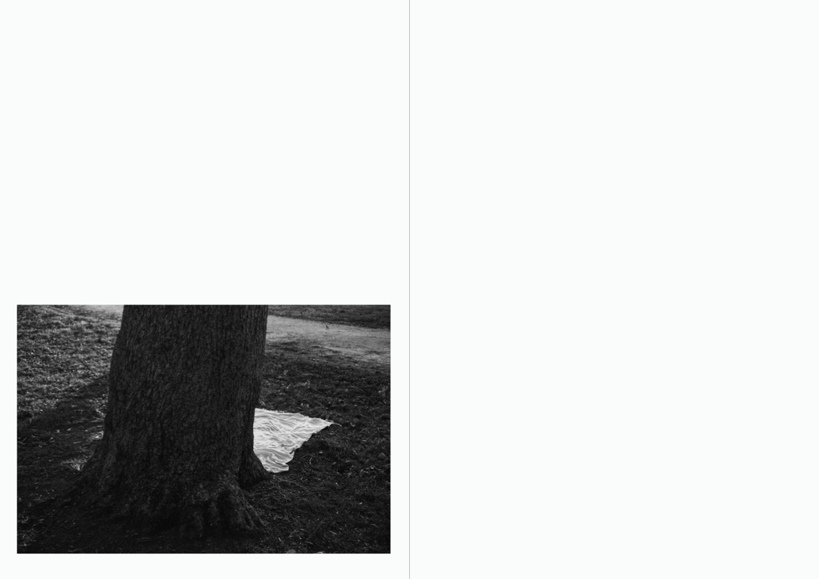 Presiento que algo terrible va a suceder PHOTOBOOK_©MicaelLope2025.010.png