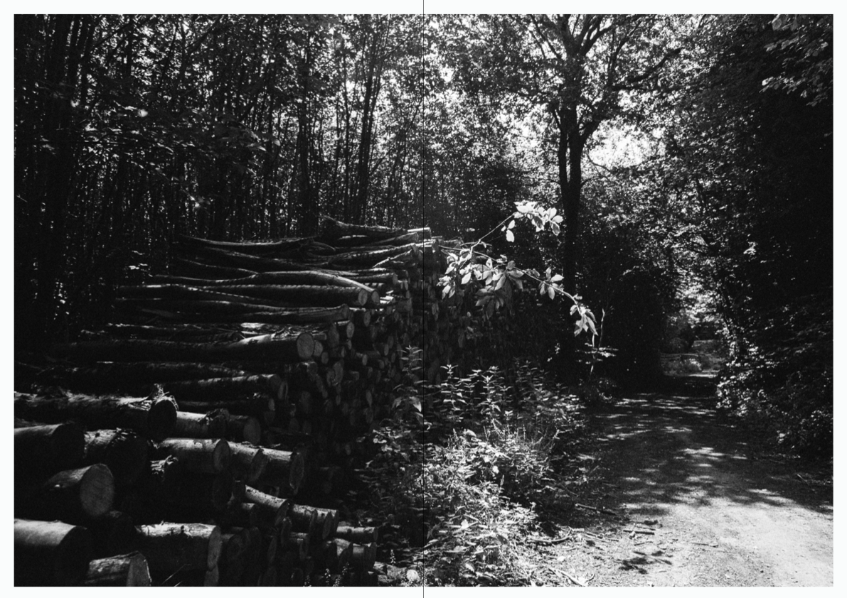 WOODWALK PHOTOBOOK_©MicaelLope-7.png