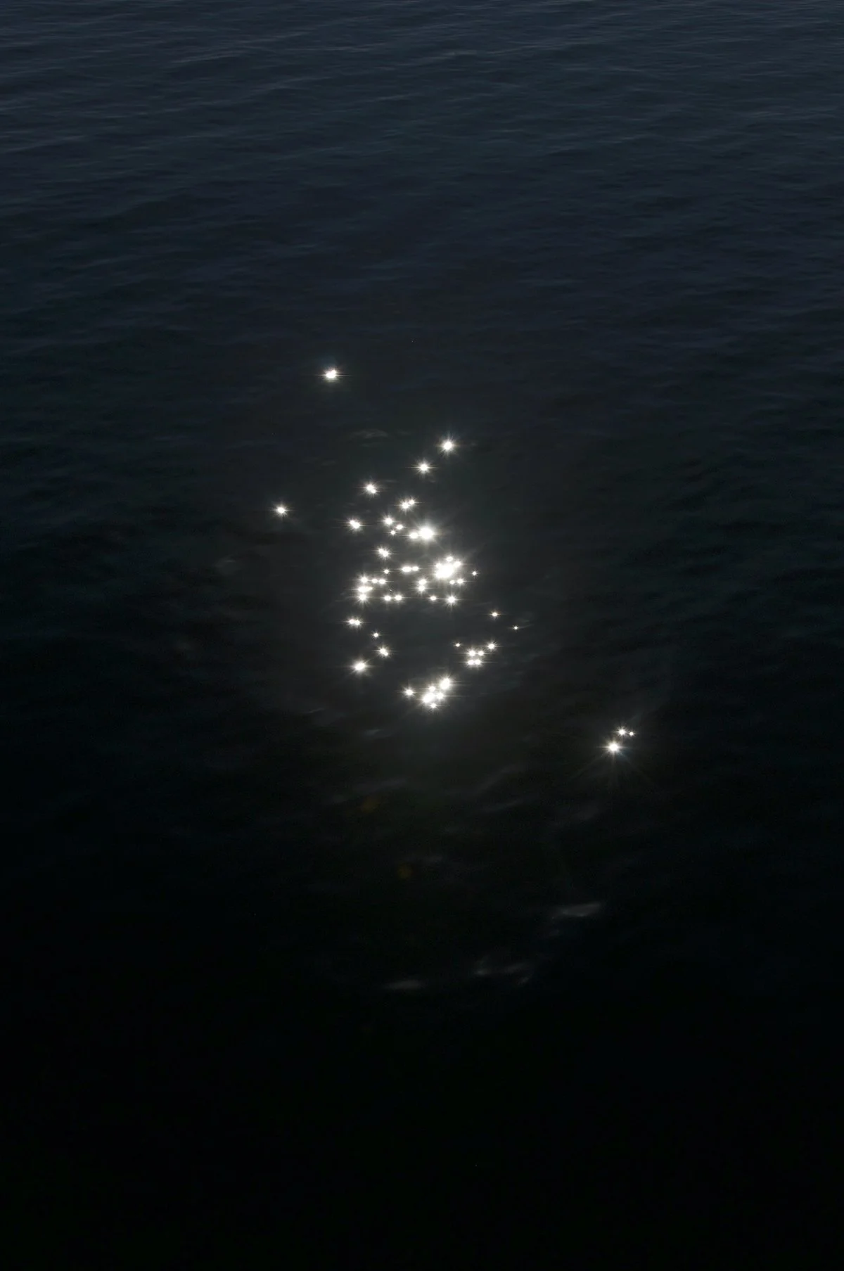 Confía en lo que ves-2_©MicaelLope_2026 copia.jpg