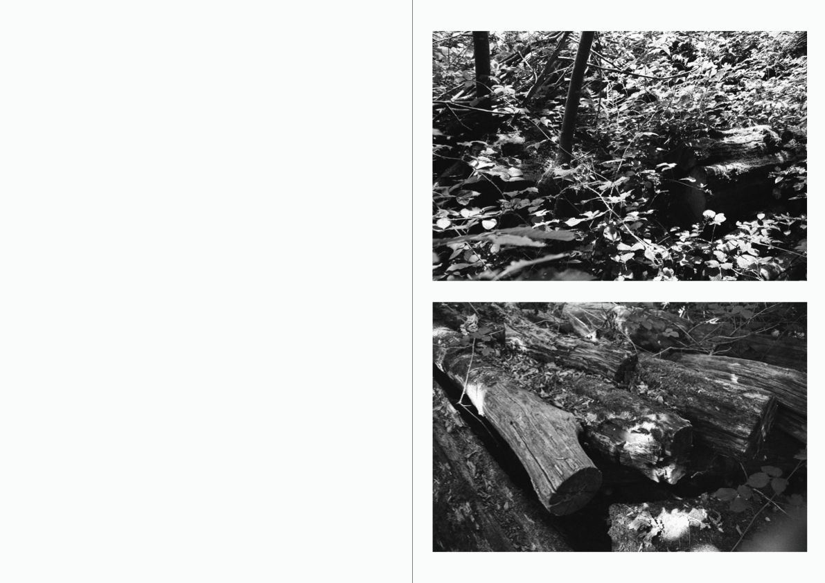 WOODWALK PHOTOBOOK_©MicaelLope-16.png