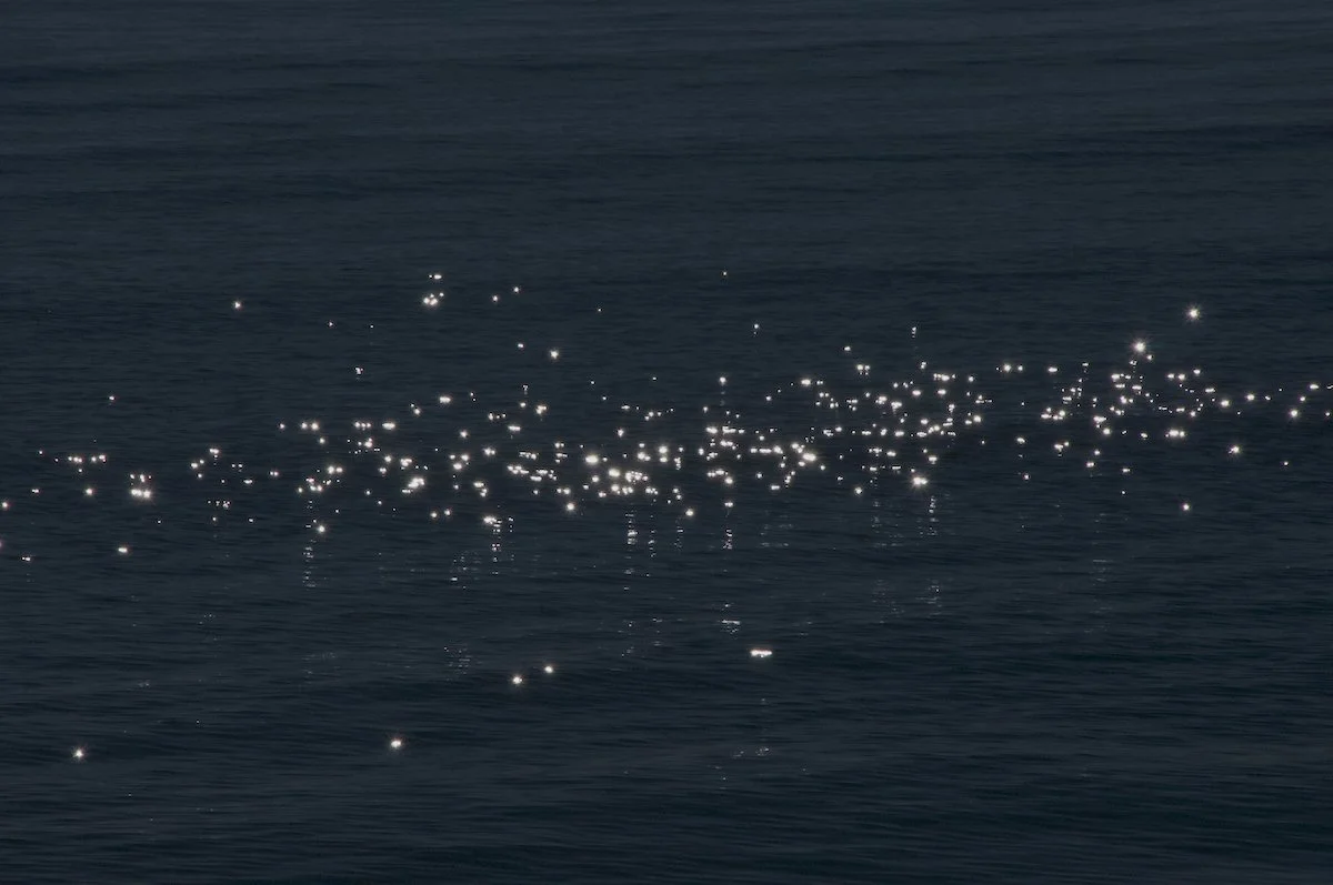 Confía en lo que ves-8_©MicaelLope_2026 WEB.jpg