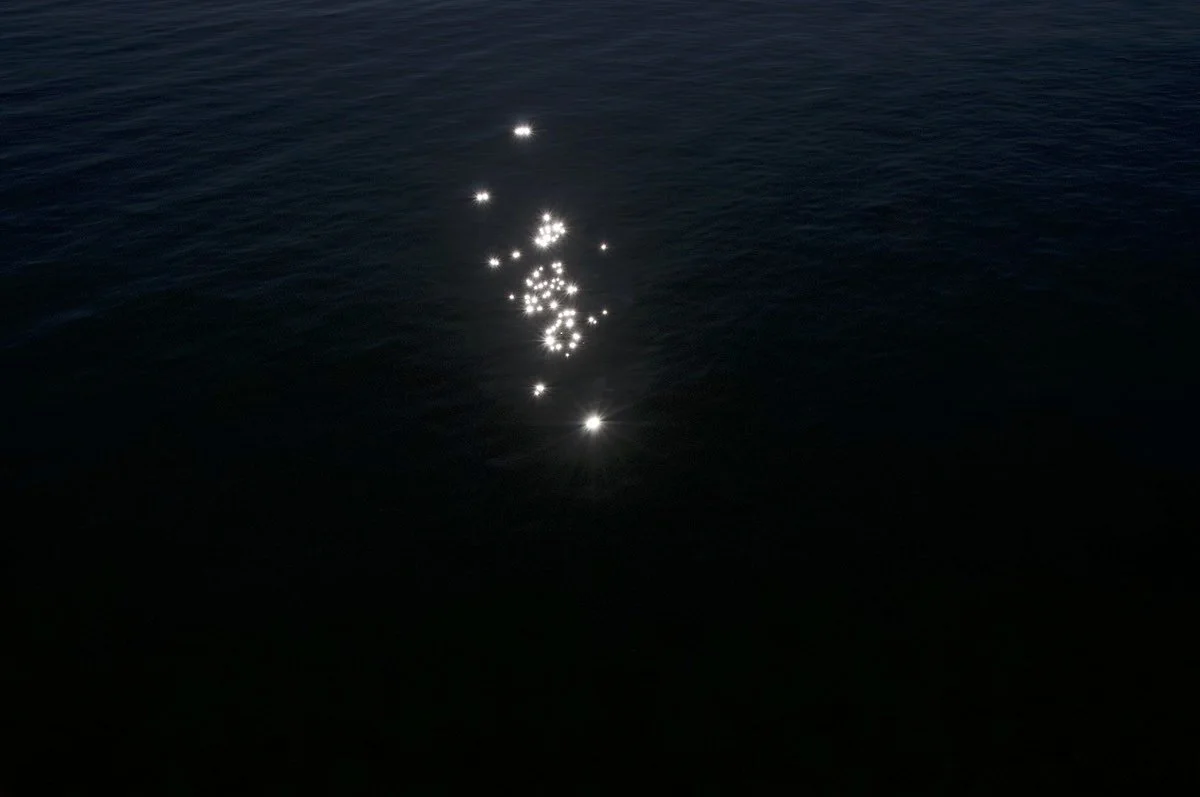 Confía en lo que ves-1_©MicaelLope_2026 copia.jpg