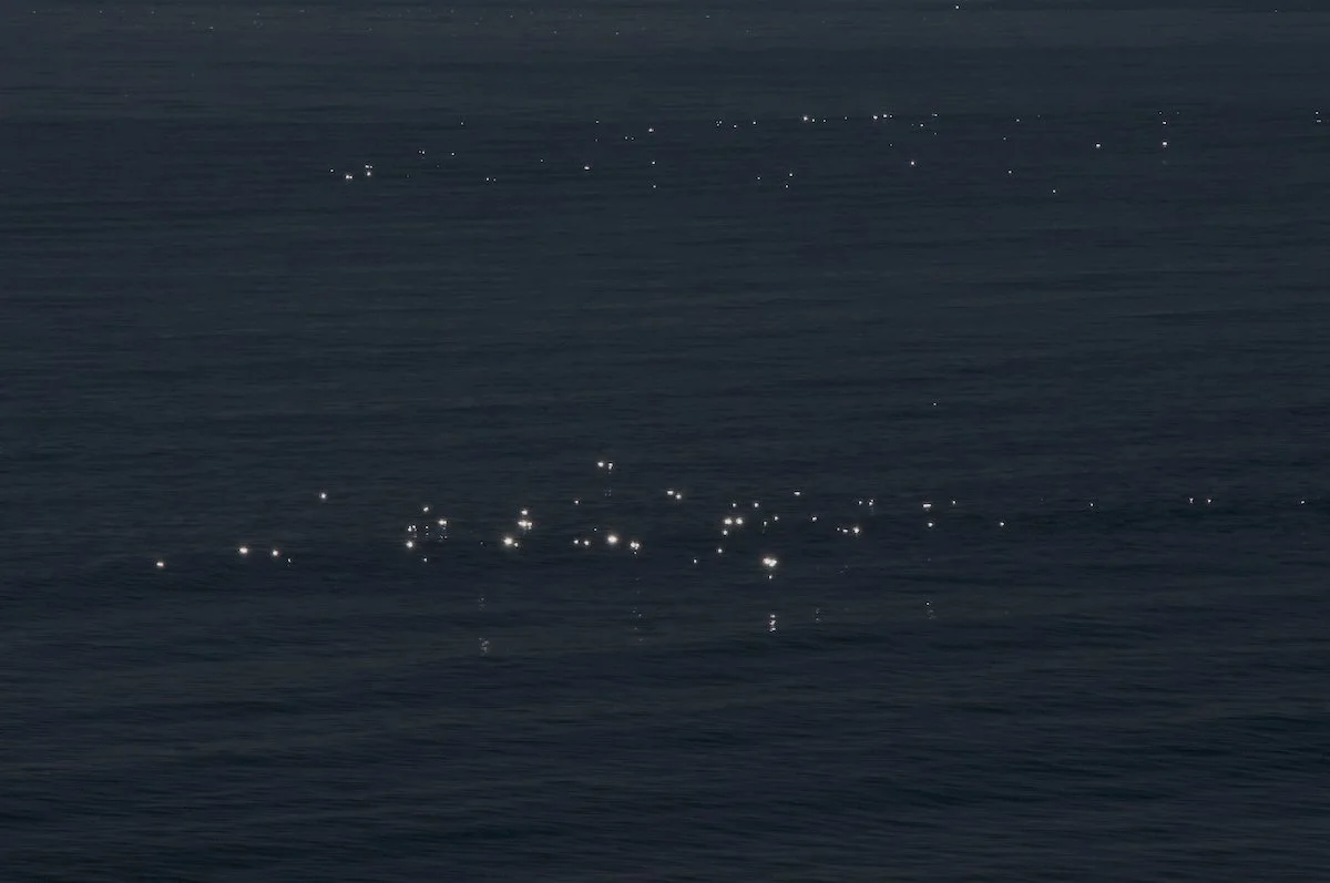 Confía en lo que ves-10_©MicaelLope_2026 WEB.jpg