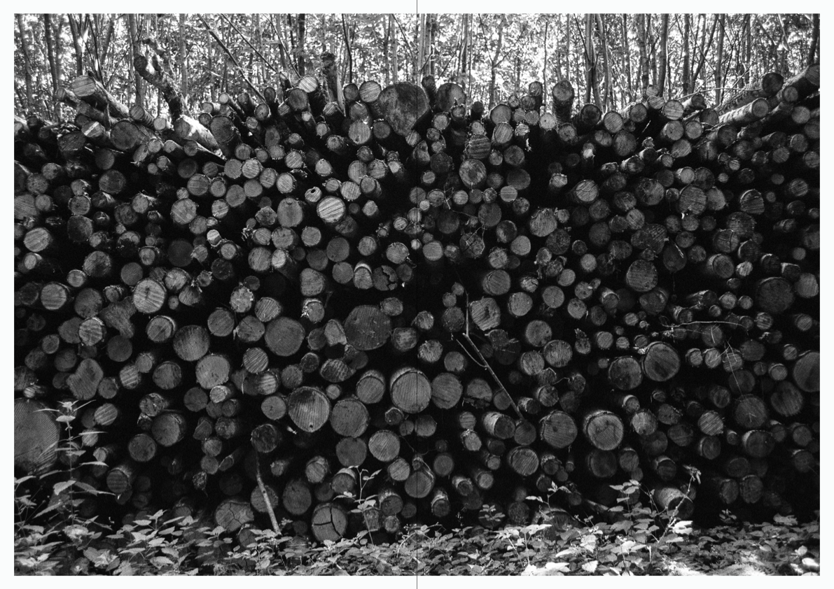 WOODWALK PHOTOBOOK_©MicaelLope-8.png