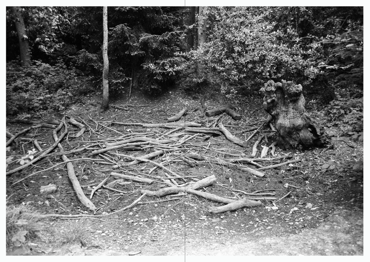 WOODWALK PHOTOBOOK_©MicaelLope-28.png