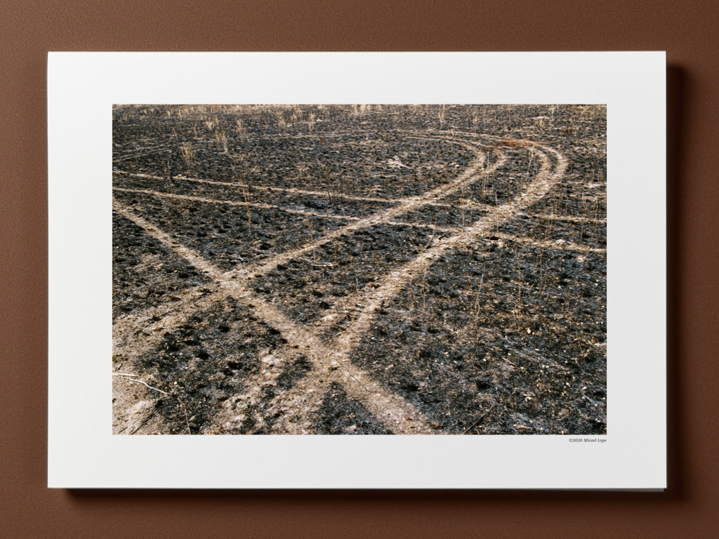 Trazas en la tierra que muestran caminos o senderos en un paisaje árido.