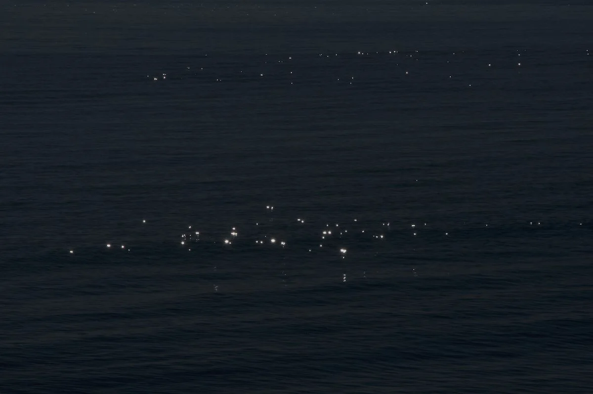 Confía en lo que ves-10_©MicaelLope_2026.jpg