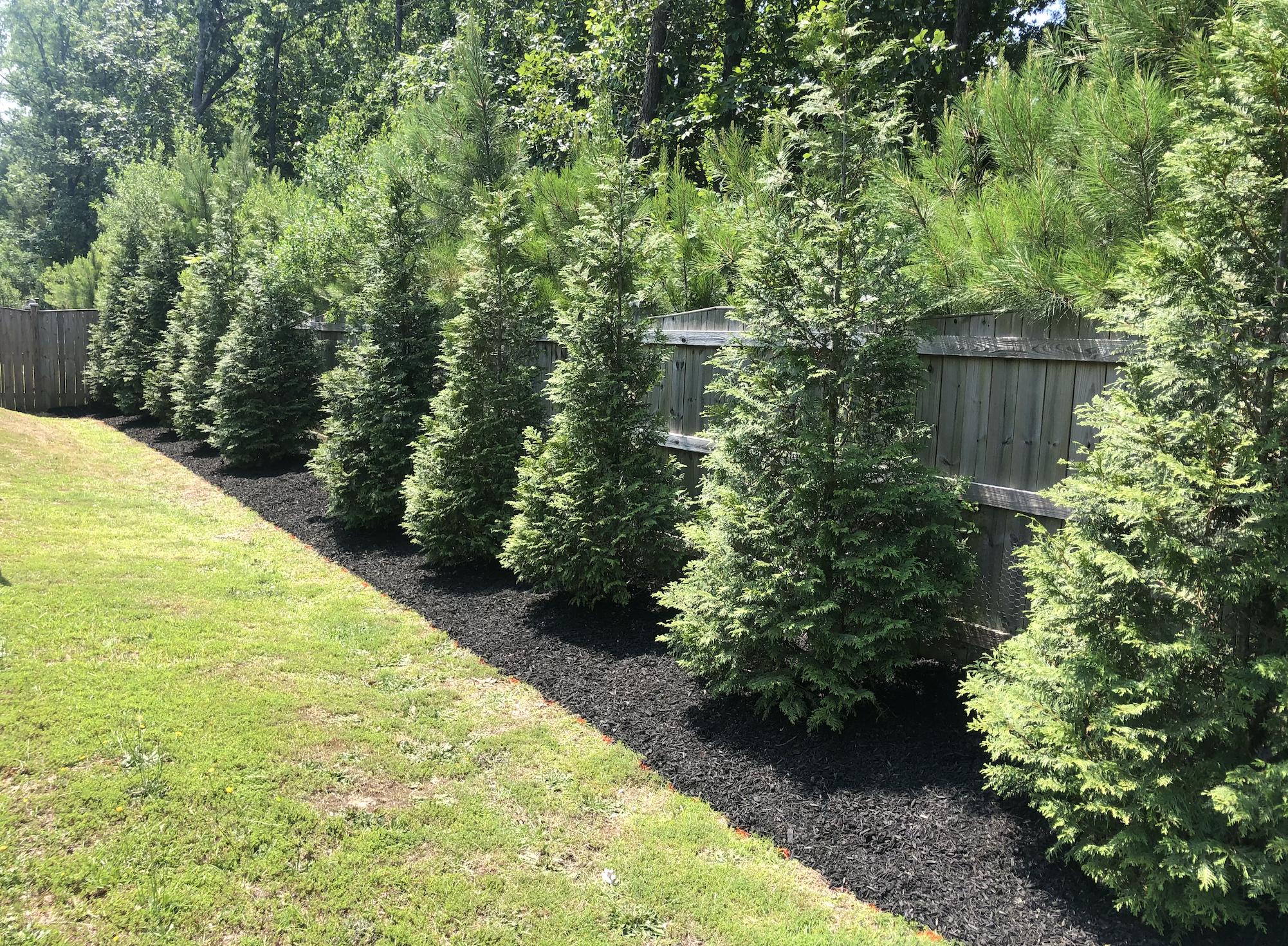 Screenshot 2026-03-25 at 10.10.53 PM.png