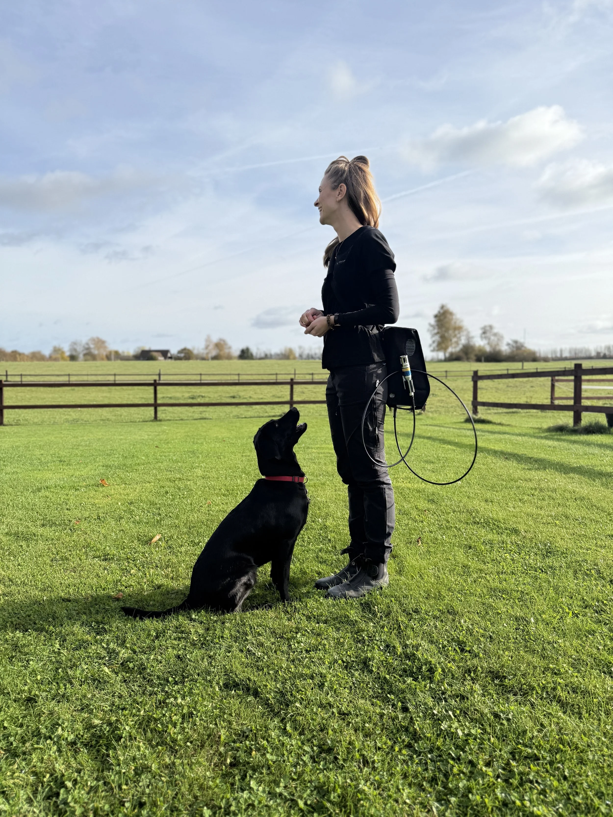 Transportabel laser fra Fisioline ®