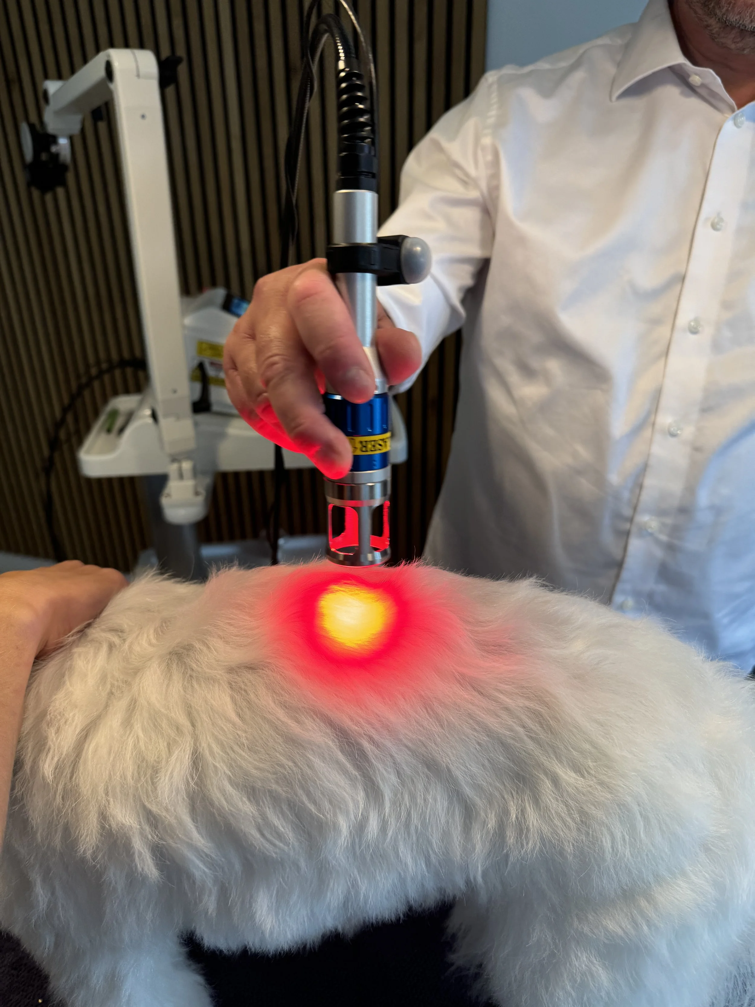 Behandling med laserterapi fra Fisioline®