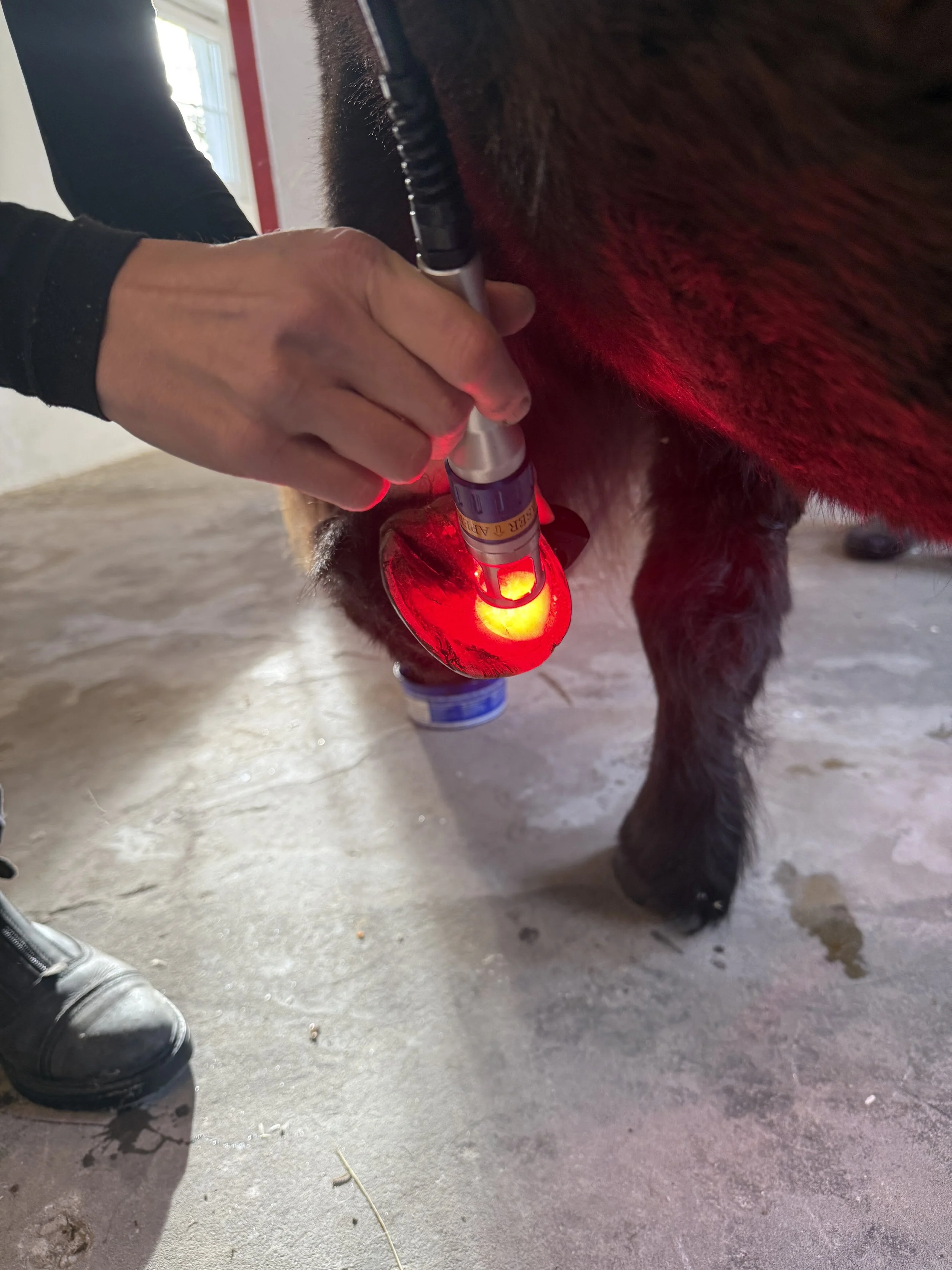 Behandling af sur stråle