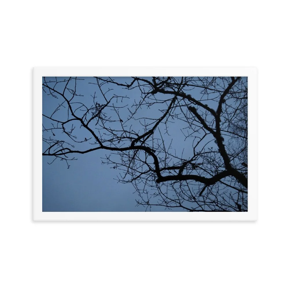 enhanced-matte-paper-framed-poster-(in)-white-12x18-transparent-67378da988130.jpg