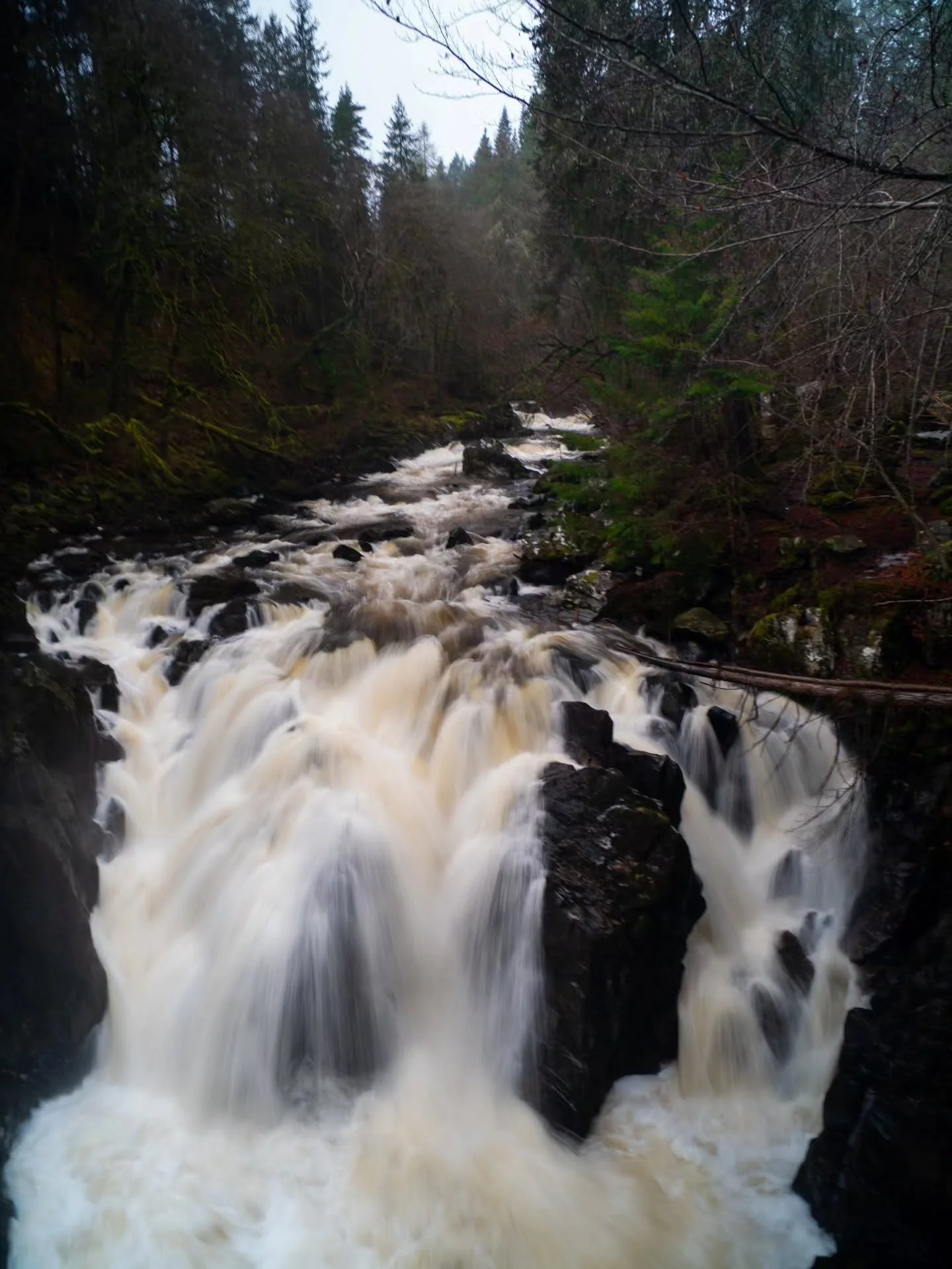 A nice little walk today and finding the hermitage reasonably quiet for once.

www.jdwphotography.net

#waterfall #sonyalpha #photography #visitscotland