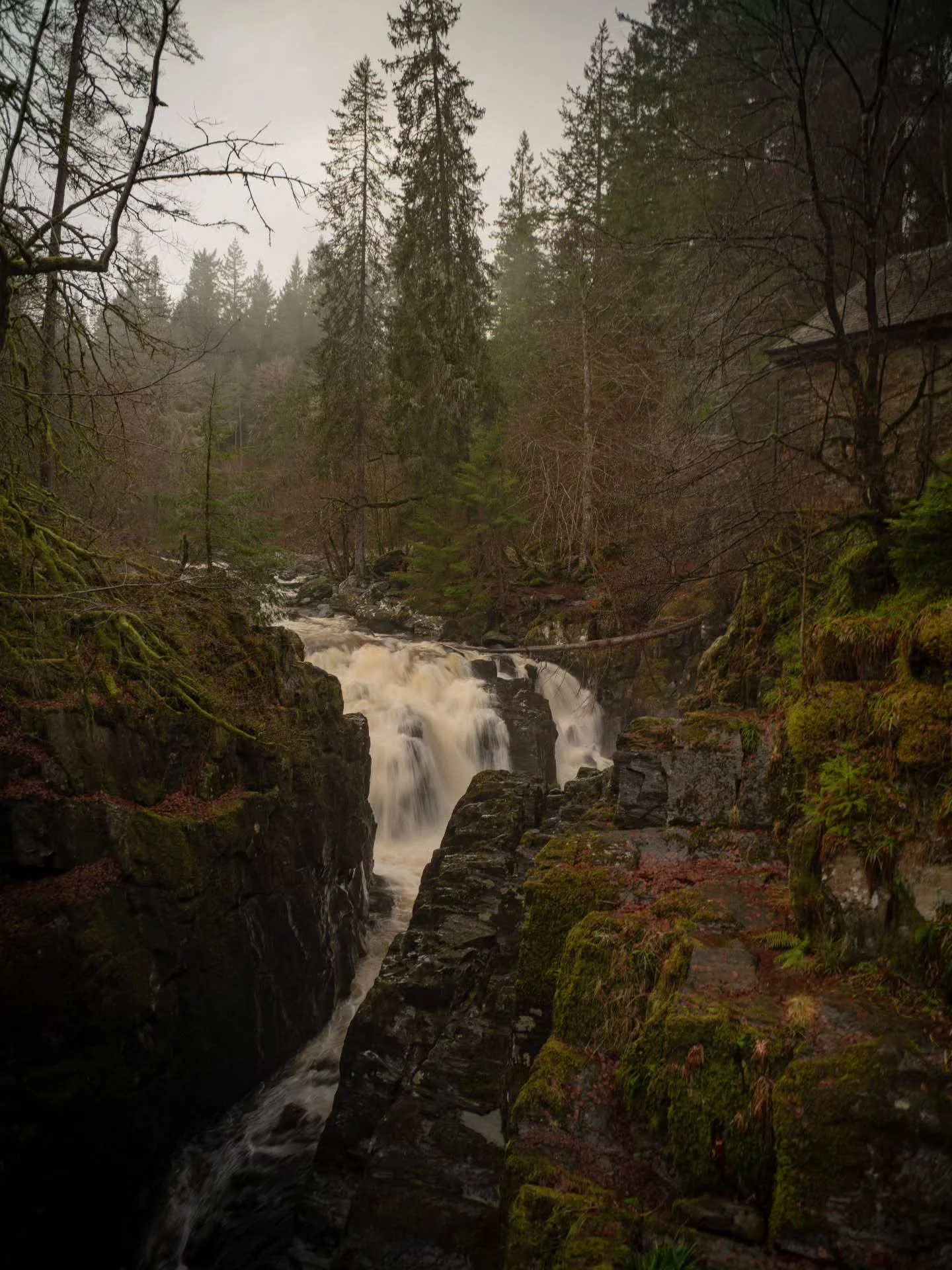Something serene about it, Ossian's hall overlooking the waterfall, the colours worked out really well in an inadvertent manner too.

www.jdwphotography

#thehermitage #sonyalpha #photography #nationaltrustscotland #waterfall