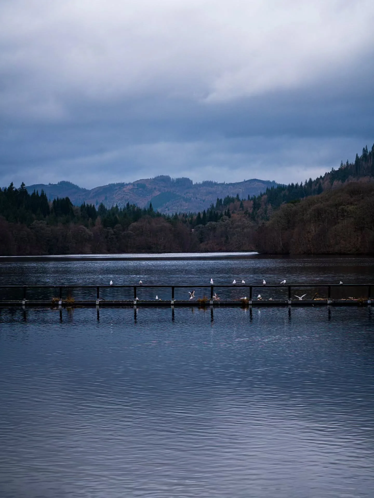 Looking out from Pitlochry Dam over Loch Faskally 

www.jdwphotography.net

#sonyalpha #landscapephotography #water #scotlandshots #landscape