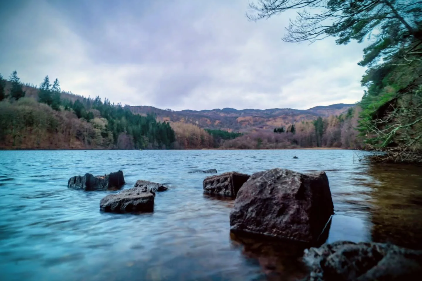 Looking out across the Loch from a low angle.

www.jdwphotography.net

#sonyalpha #water #loch #scotlandshots #photographer
