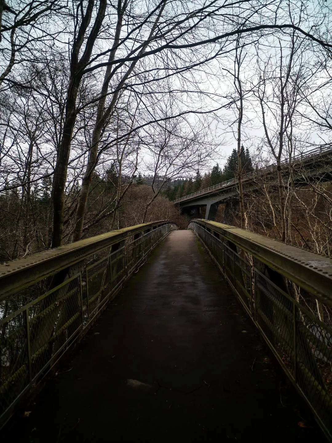Looking out over the bridges by Faskally Wood.

www.jdwphotography.net

#sonyalpha #photography #scotlandshots #bridge #landscape