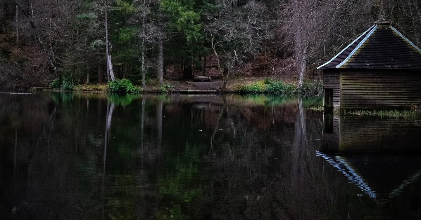 Some fun with reflections at Faskally Wood 

www.jdwphotography.net

#sonyalpha #photography #water #reflection #scotlandshots