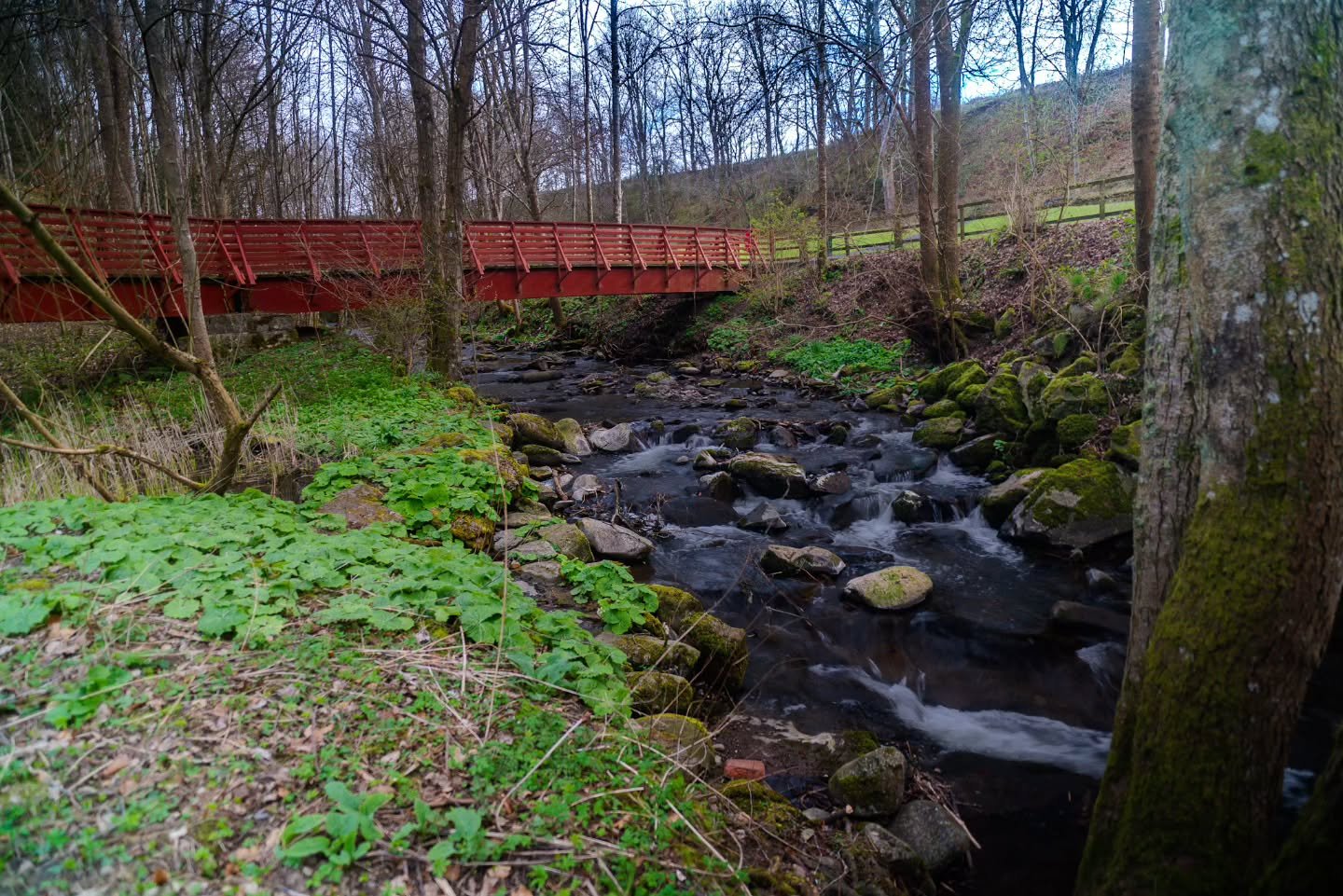 A little wander up to Quarrymill Woods with the dog.

www.jdwphotography.net

#sonyalpha #photography #water #scotlandshots #wanderlust