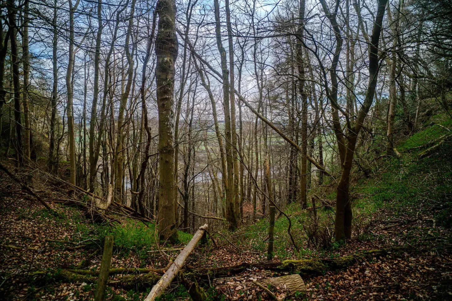 Something sentimental here.

@rosco_mcwolf 

www.jdwphotography.net

#sonyalpha #landscape #wanderlust #explore #photographer