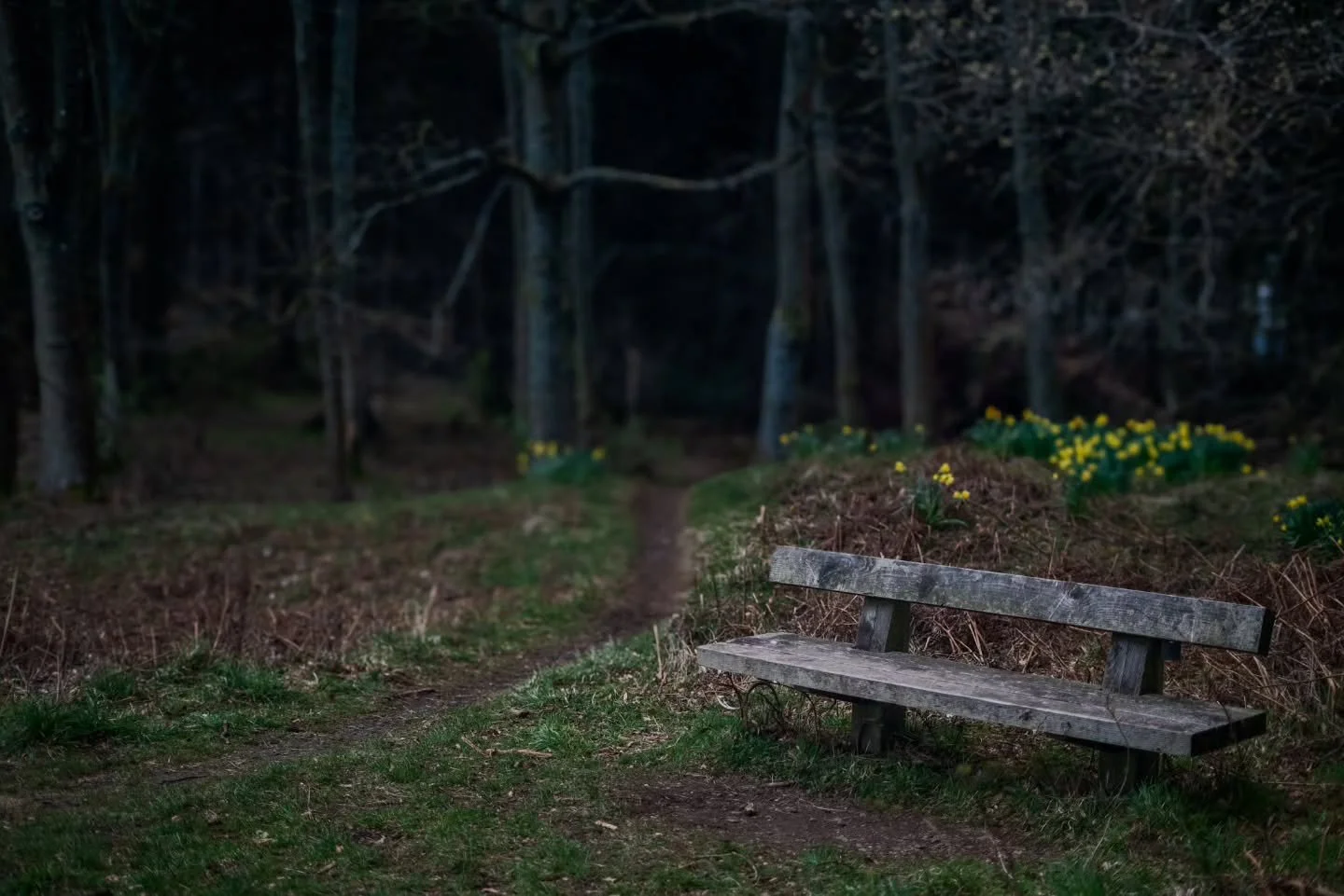 Love the little splash of colour from the daffodils

www.jdwphotography.net

#sonyalpha #landacape #scotlandshots #wanderlust #scottishphotographer