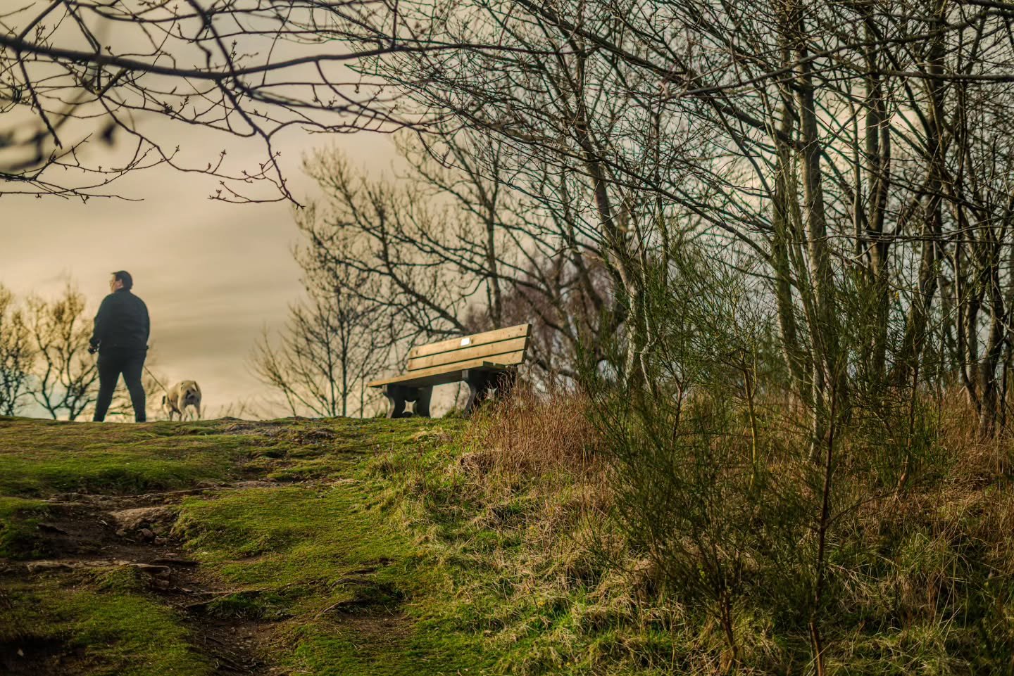 "Sibling and dog - adjacent to a bench" I think I'll title this one as.

www.jdwphotography.net

#sony #landscape #photography #scotlandshots #wanderlust
