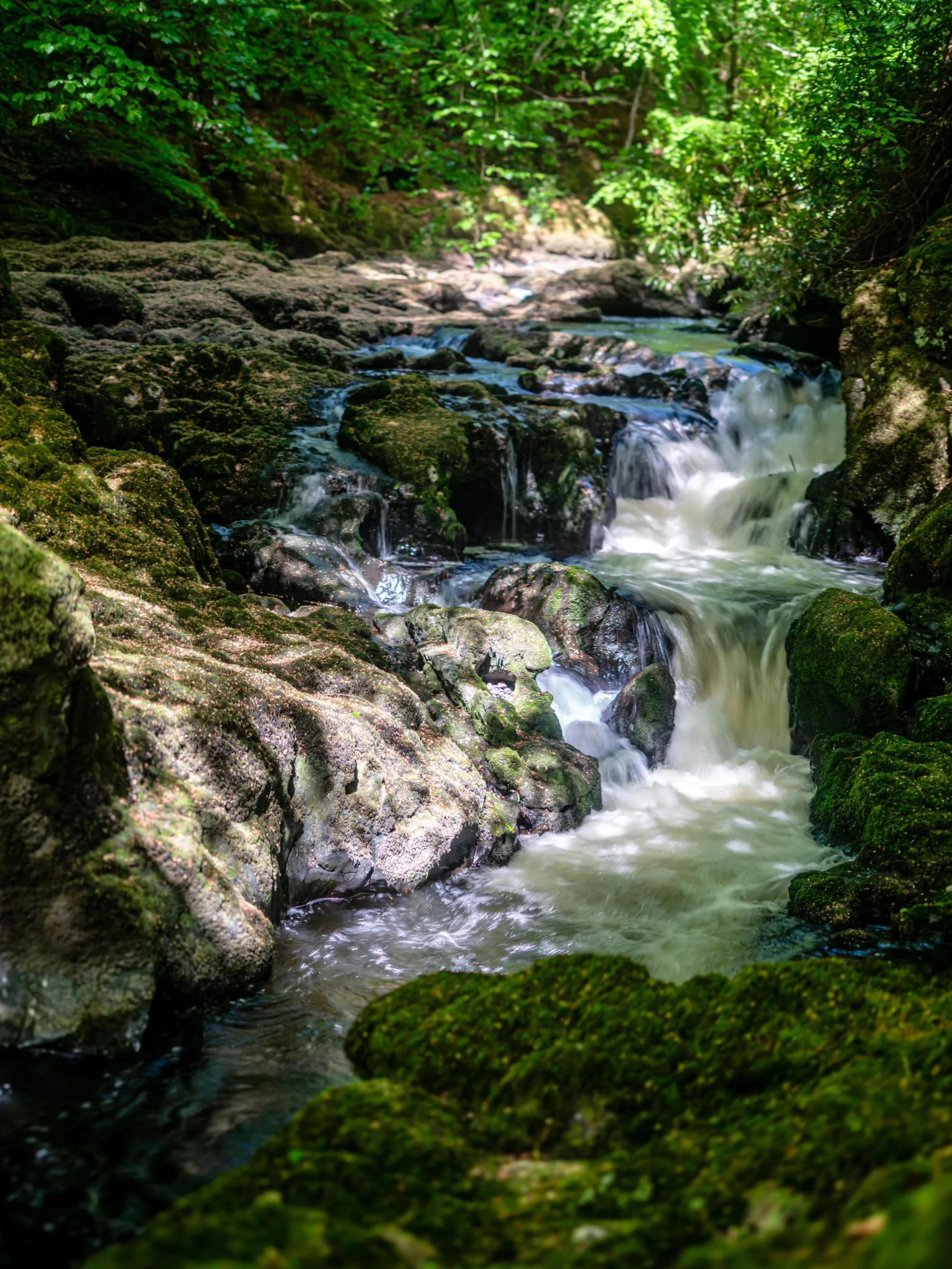Around the top of the pools of water at the Rumbling Bridge is this wonderful waterfall. Though not the largest or grandest of the falls, the light perfectly hits it through the trees.

www.jdwphotography.net

Prints for sale starting at &pound;30 fr
