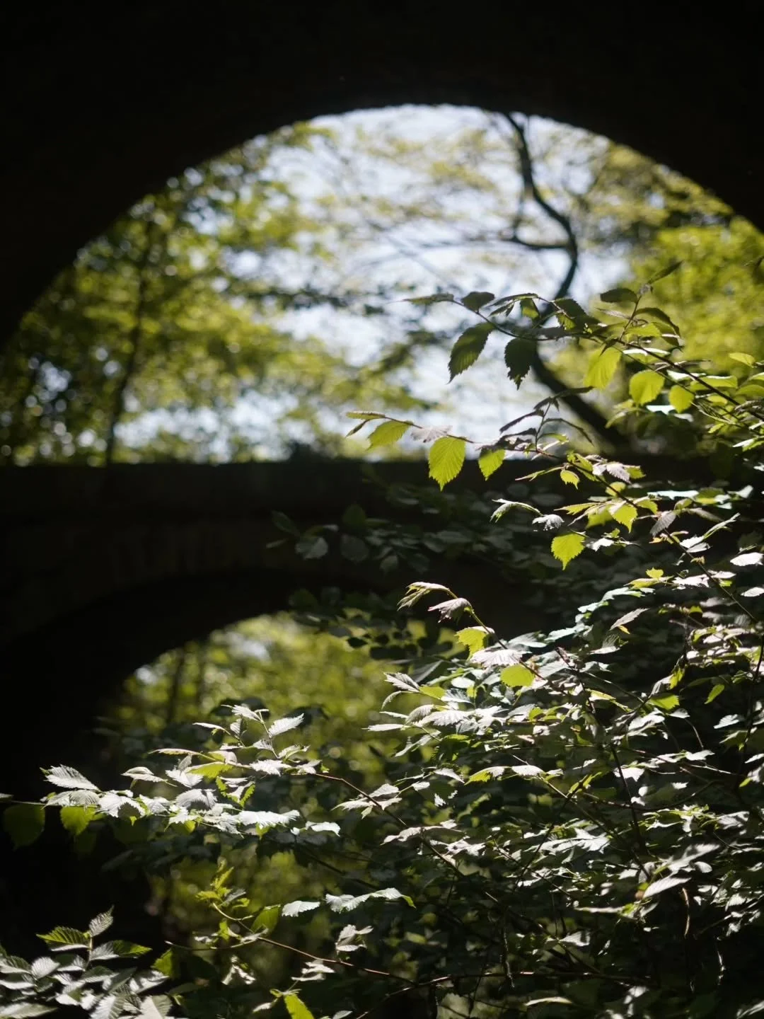 The area around the bridge is quite overgrown, but can't fault  the colours it gives off.

www.jdwphotography.net

#sonyalpha #landacape #bridge #flora #wanderlust