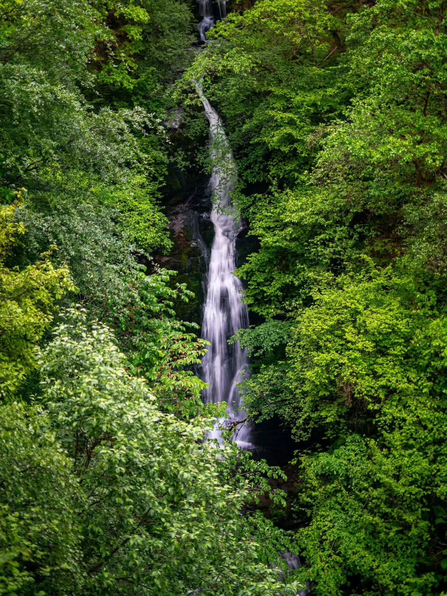 The viewing platform really shows the height of this waterfall, but not how far back it goes with smaller falls back along the hill leading to it. Almost hidden from view with the trees so lush this time of year too!

www.jdwphotography.net

#sonyalp