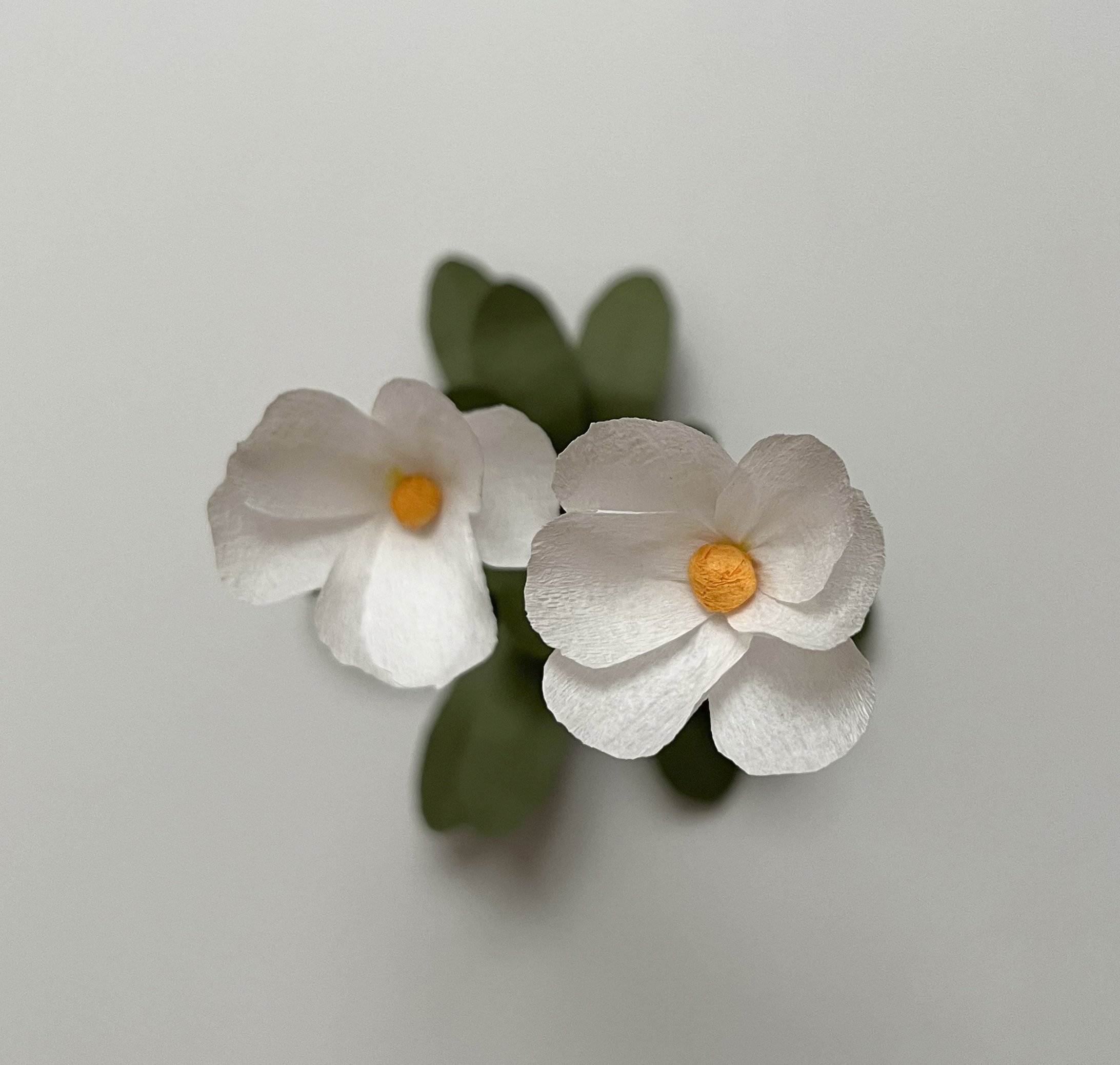 MWh_09 copia.jpg
