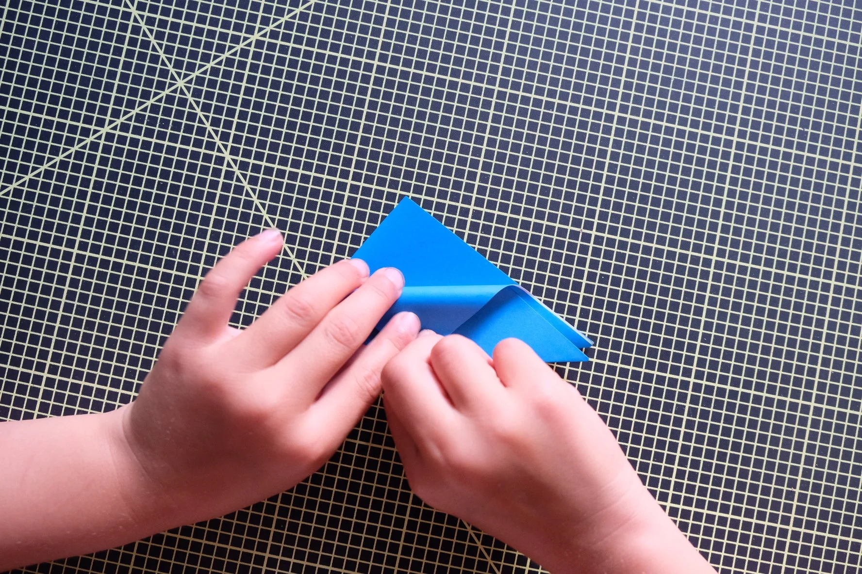 A7DCAF21-DB82-4C83-BC9D-811907EA228F-23620-00000310C741261E.JPG
