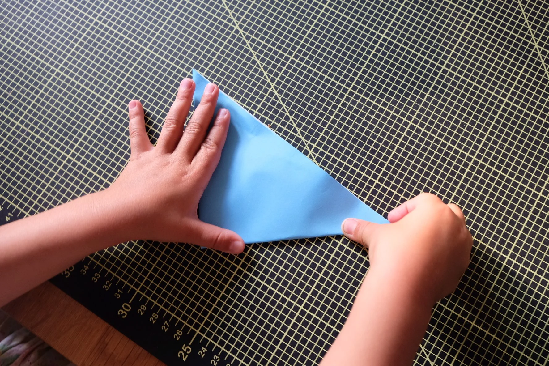 A59D8BB0-85FF-4E44-BC32-6BB1DE0AF5FB-23620-000003114A102F2D.JPG