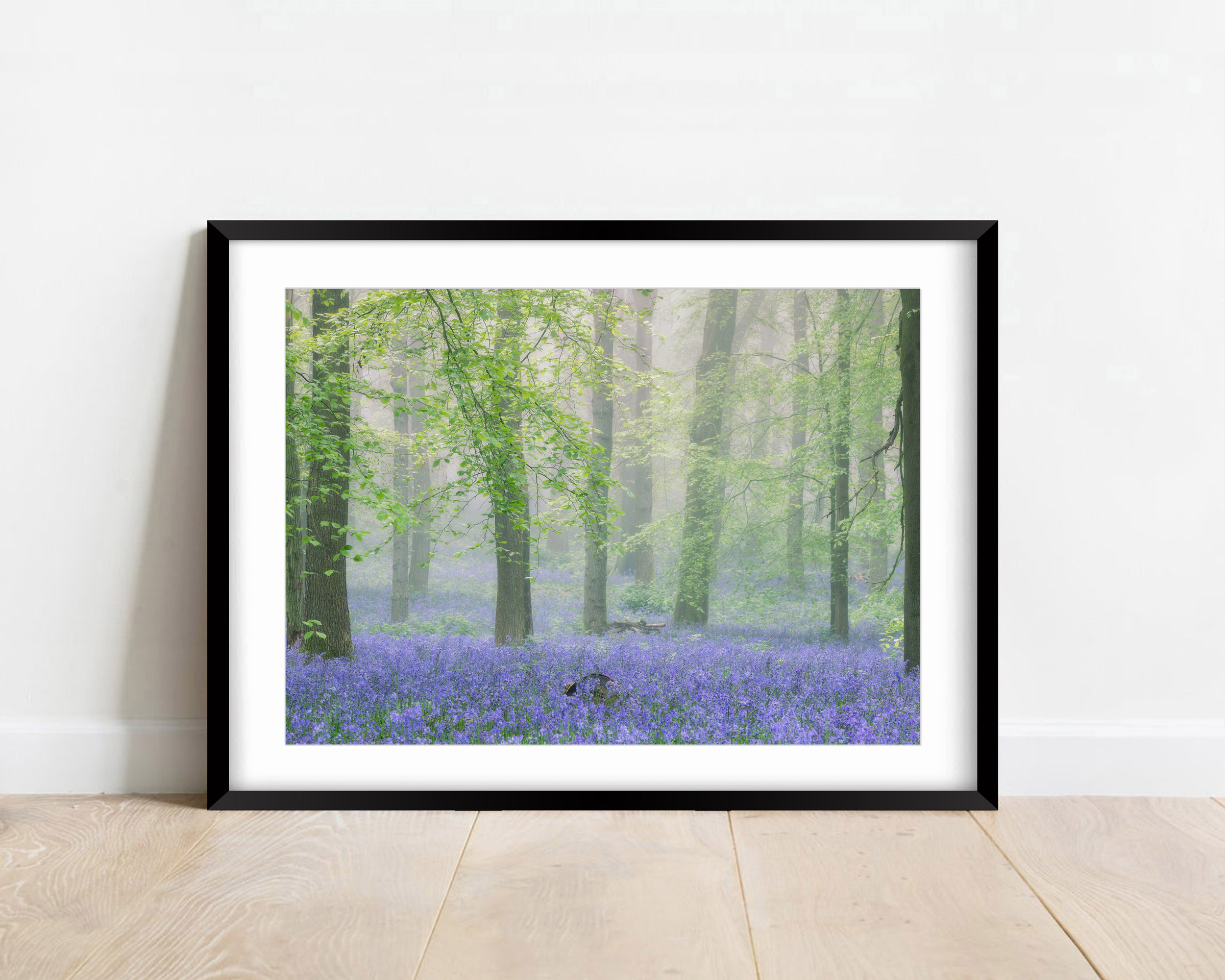 Misty Bluebells