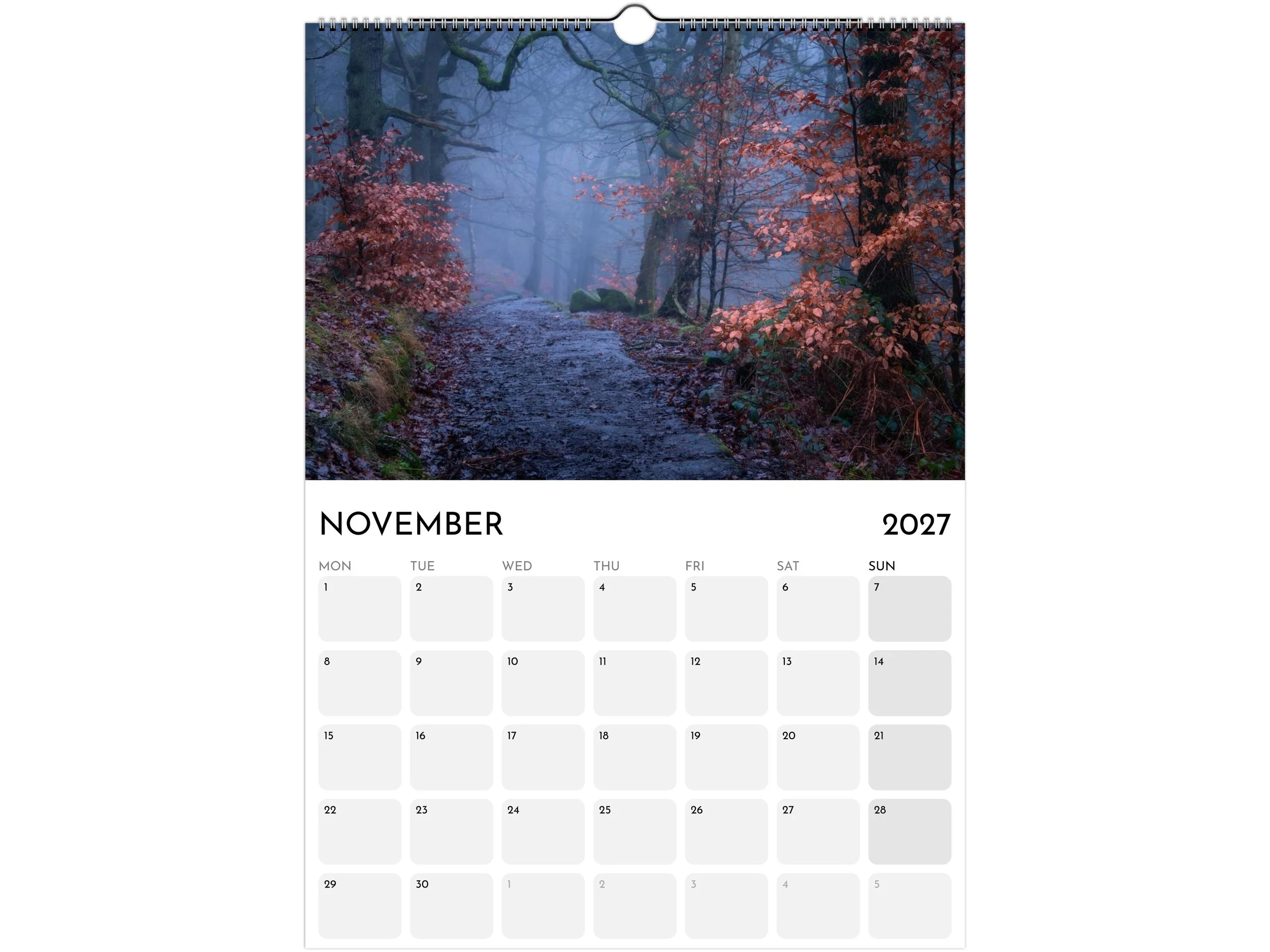 Nov.jpg