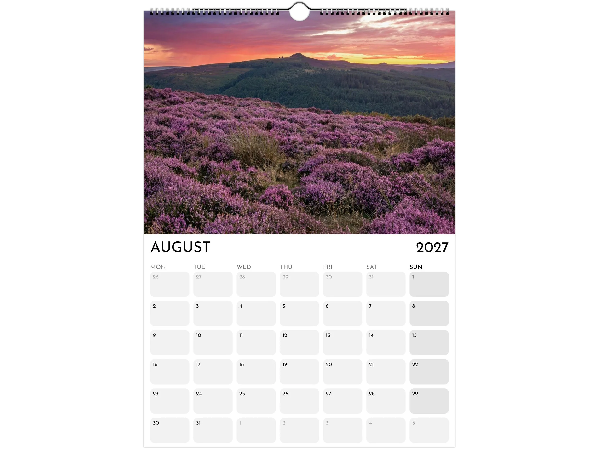 Aug.jpg