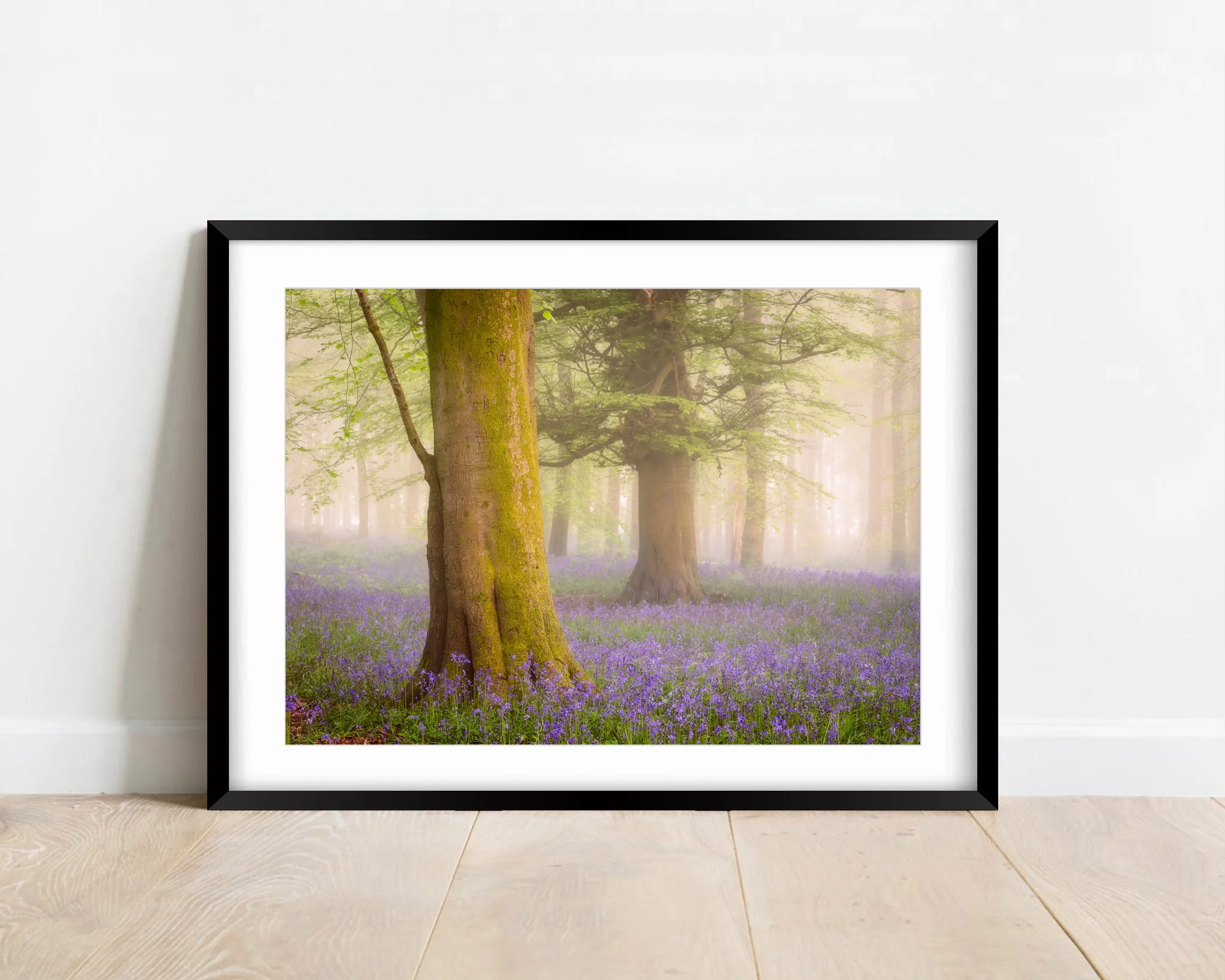 Misty Bluebells