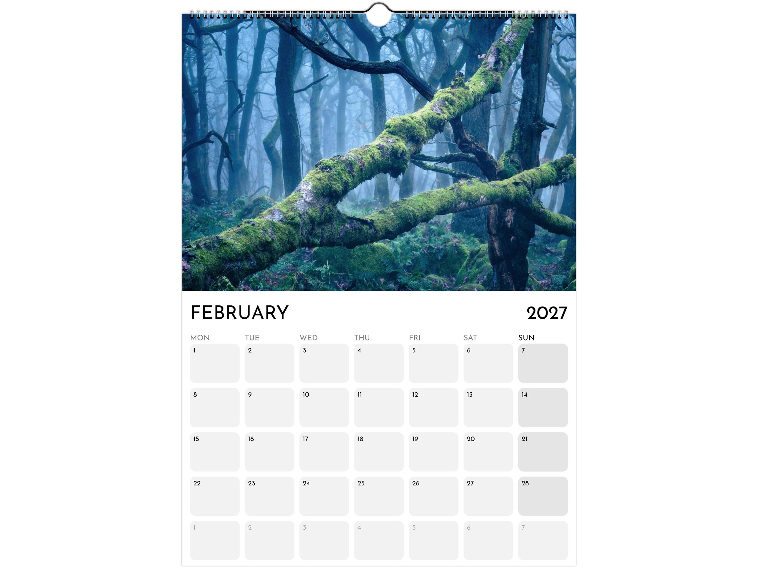Feb.jpg