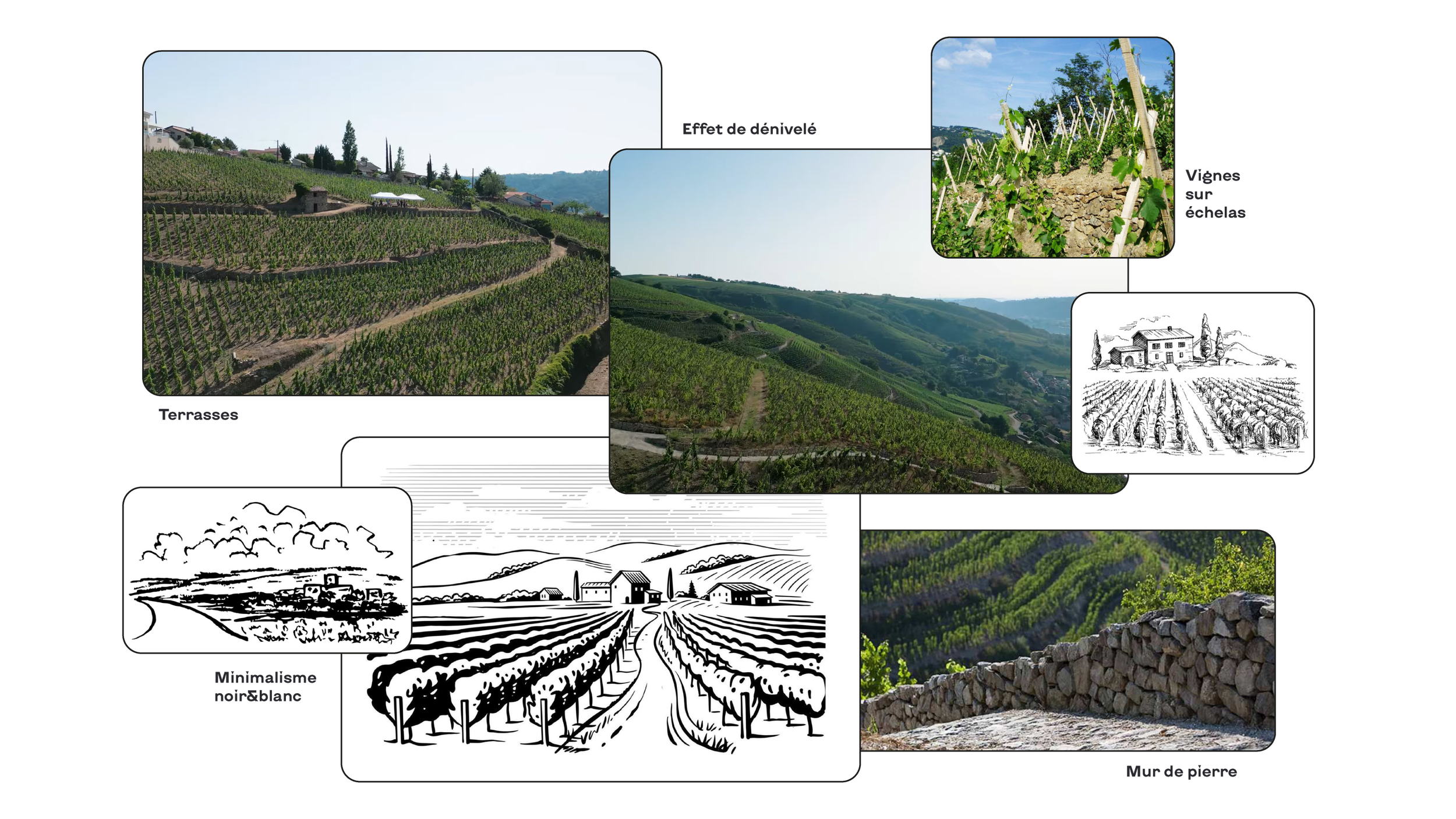 Moodboard Illustration Fresque murale