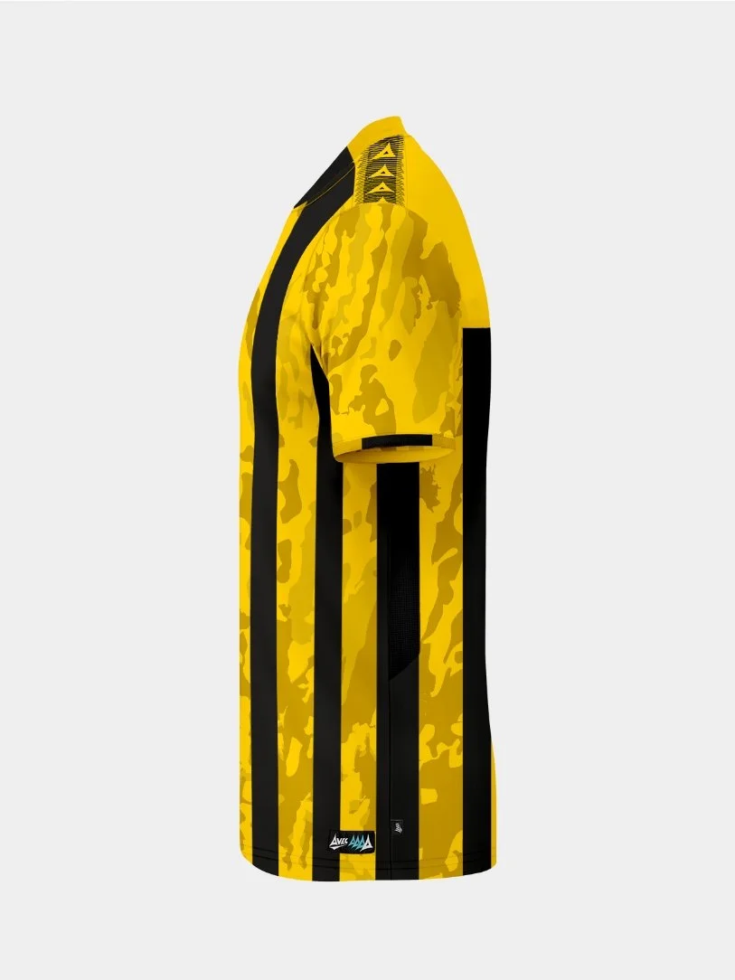 0014040_pro-intent-stripe-jersey-yellowblack_1084.jpeg