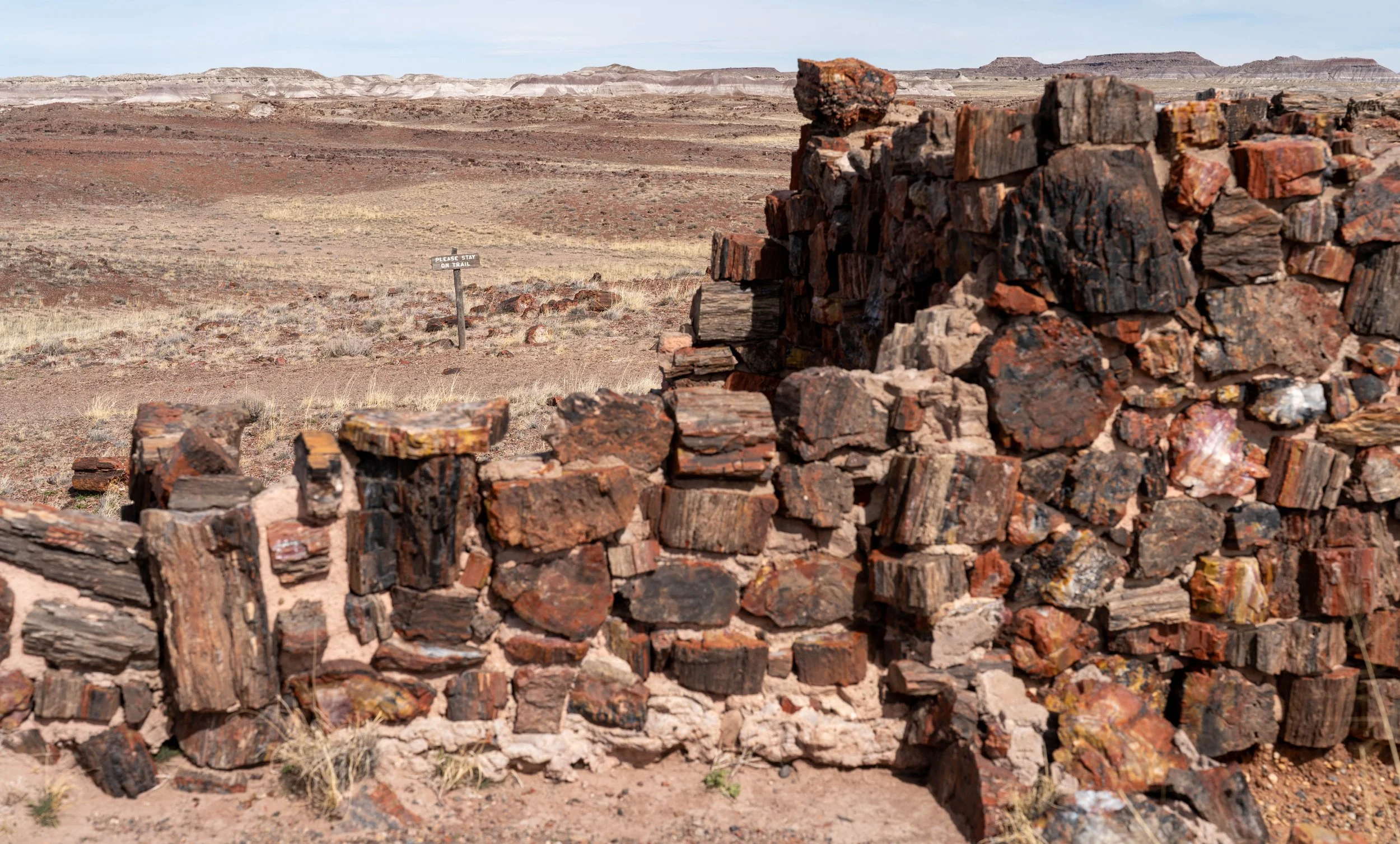 Agate House, constructed of petrified wood
