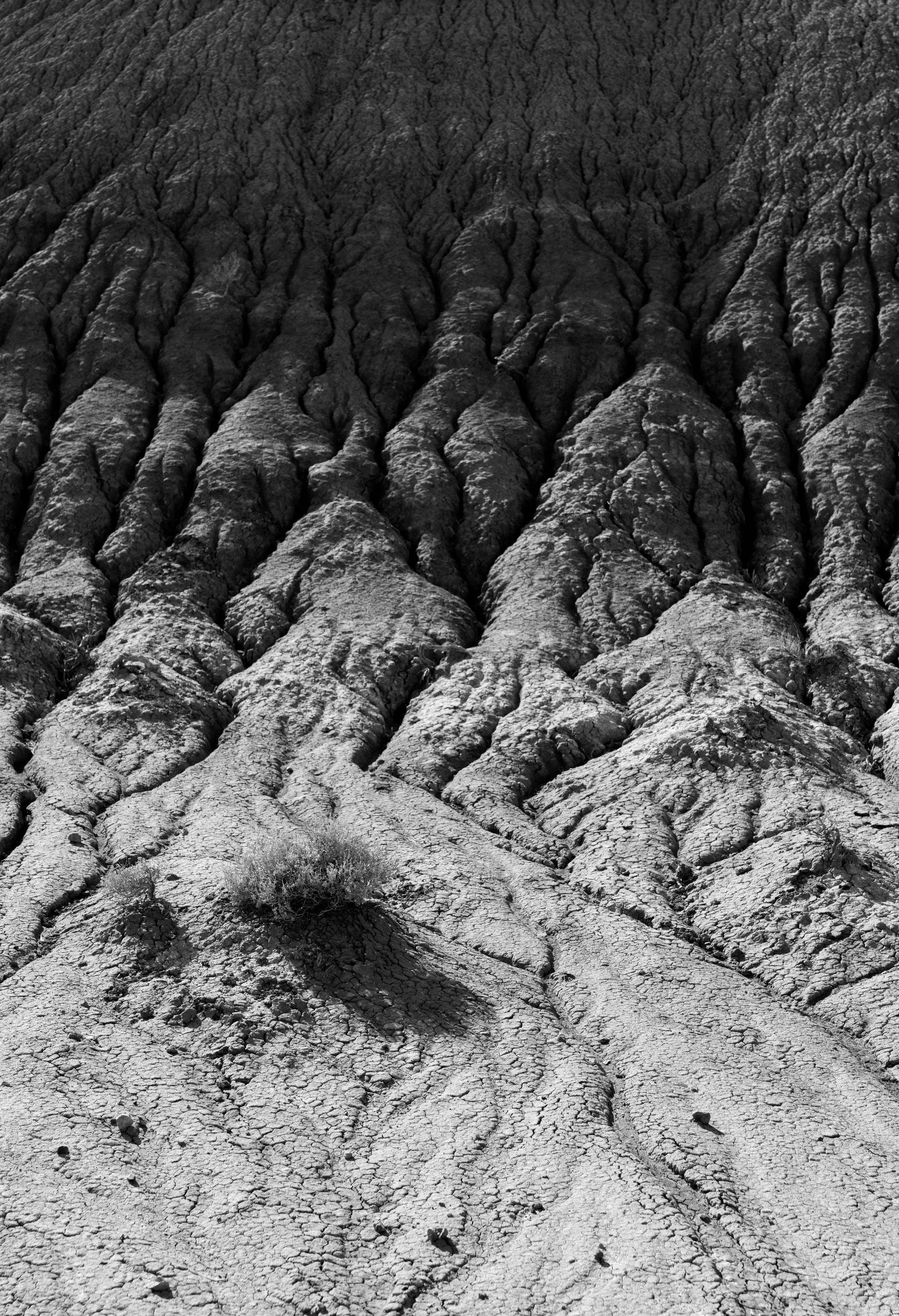 Small rabbitbrush and mesa drainage
