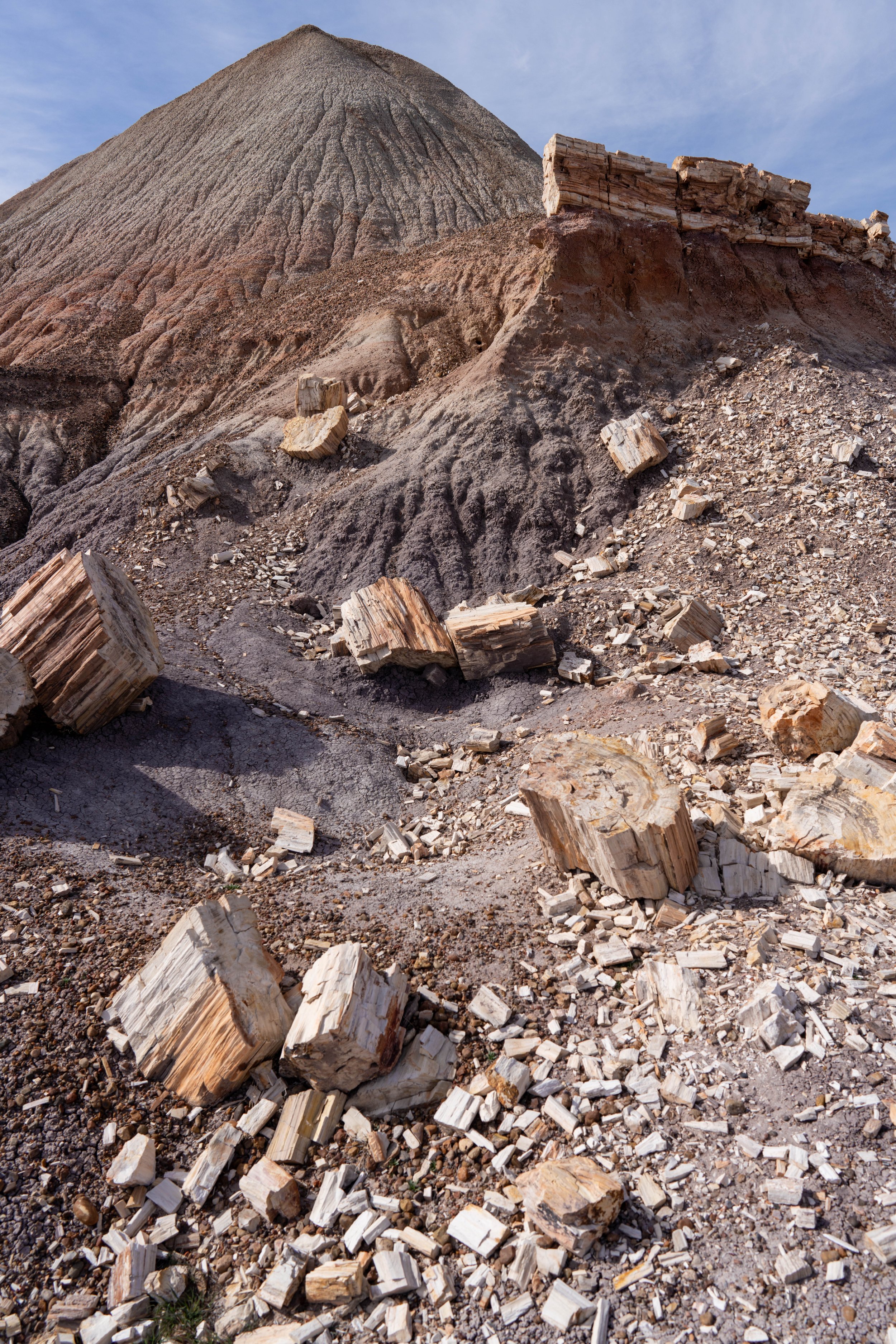 Blue Mesa area deposits
