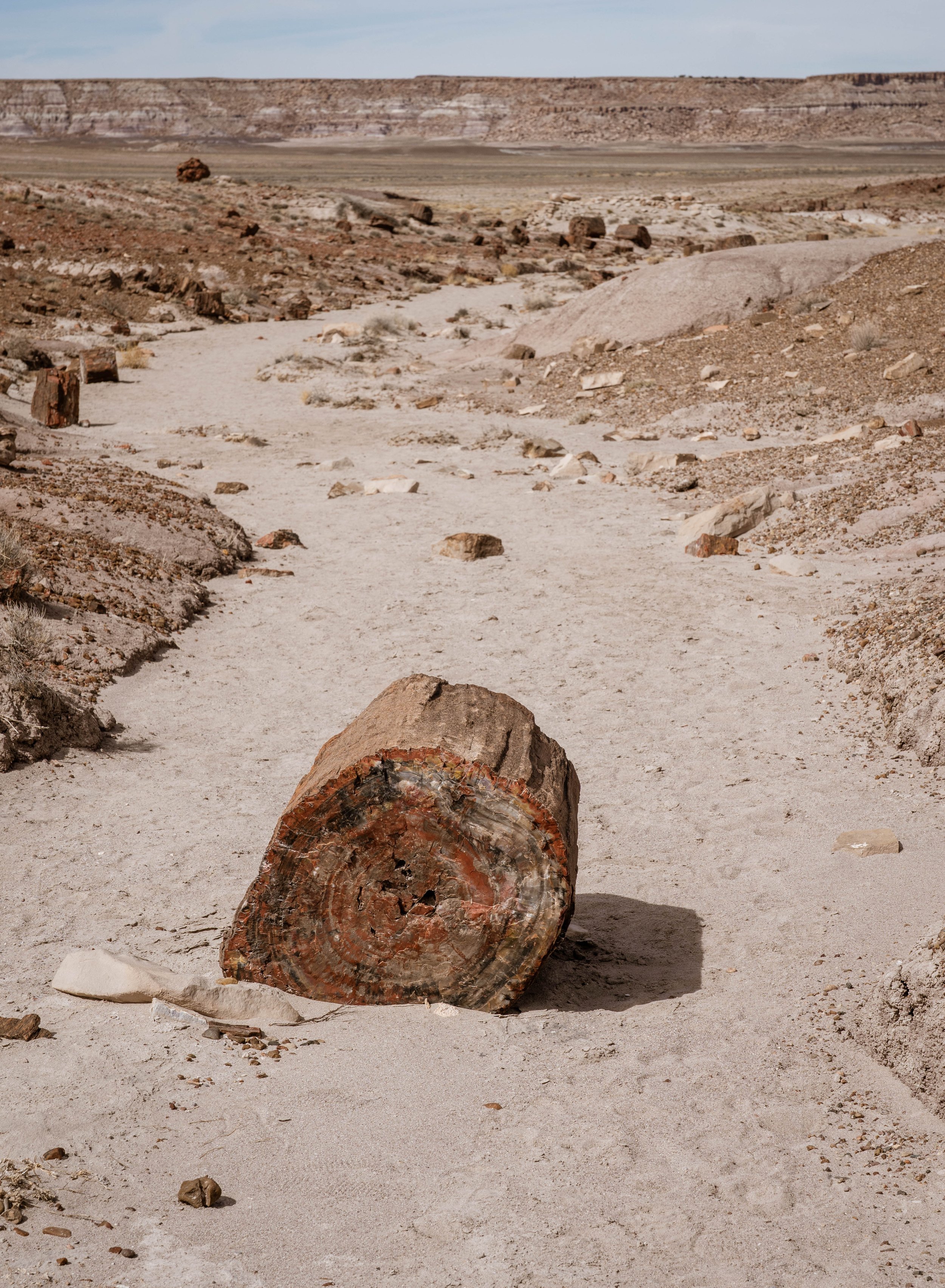 Jasper Forest and Dry Wash looking W